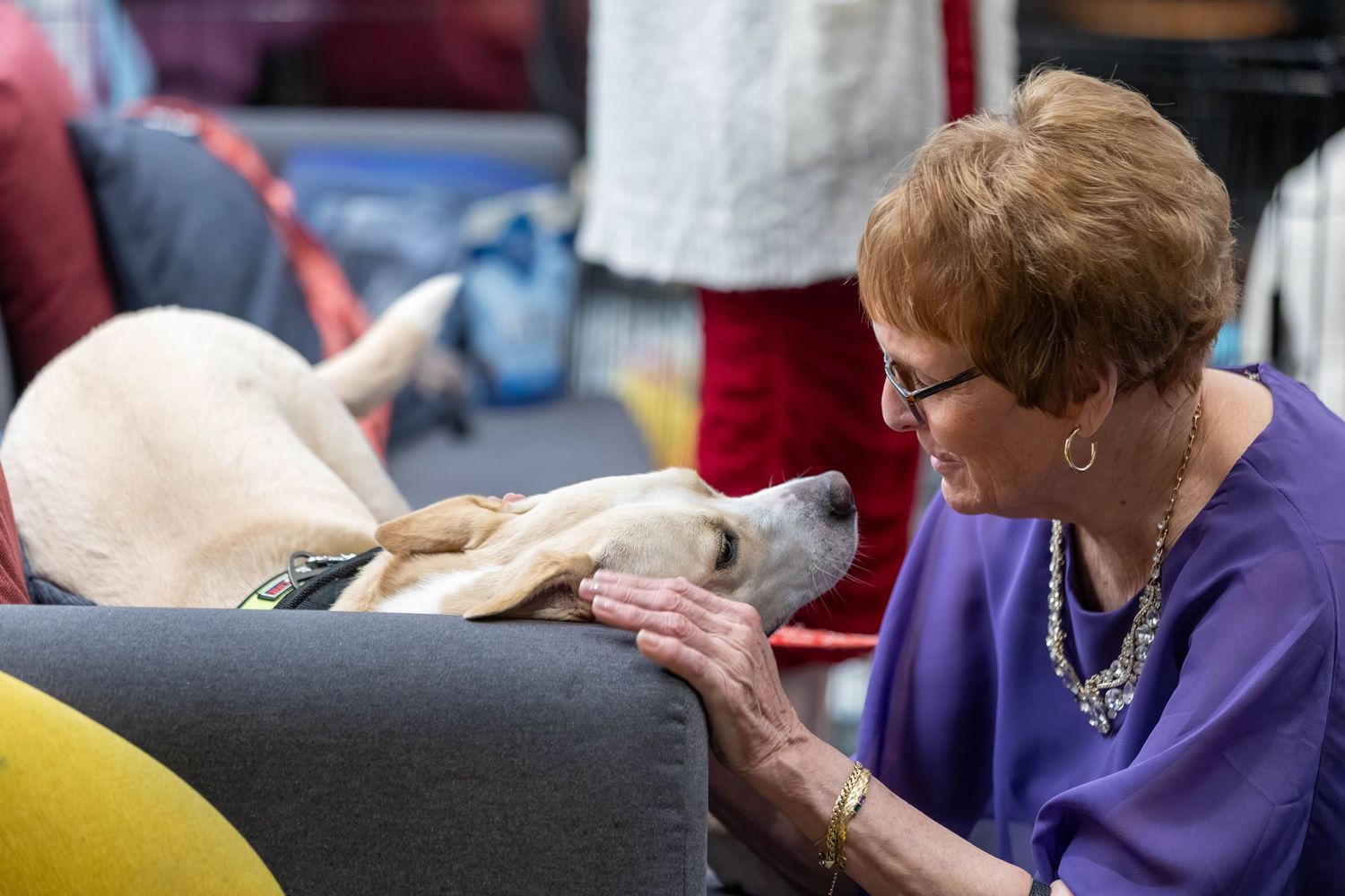 town and country donor say hi to puppy during town and country gala