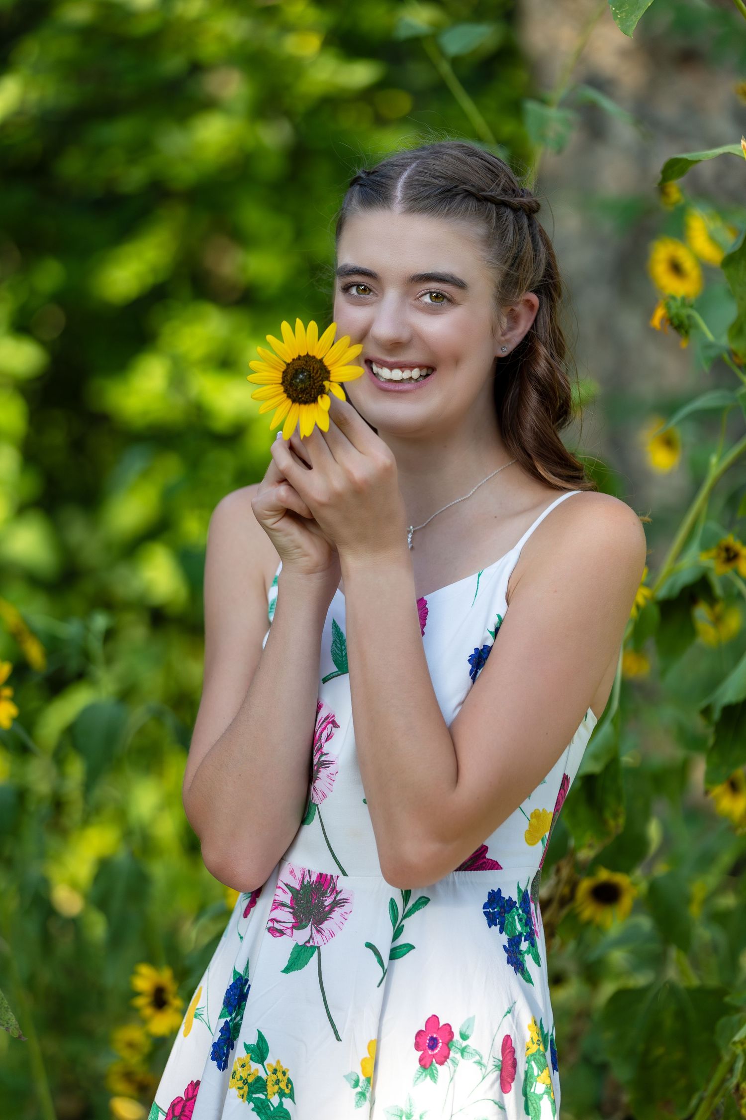 Senior photos sunflower Papillion
