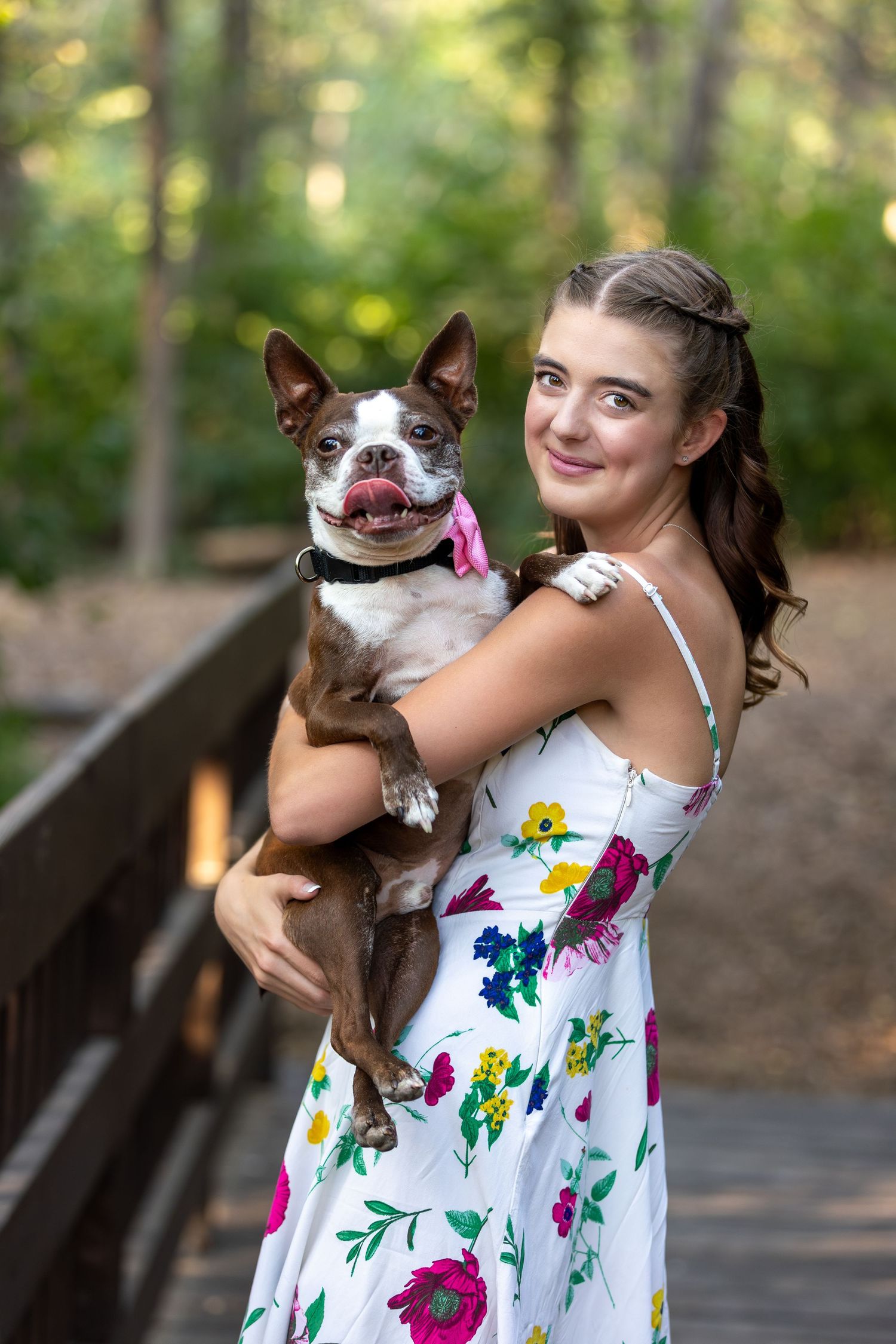 Senior photos with dog Papillion