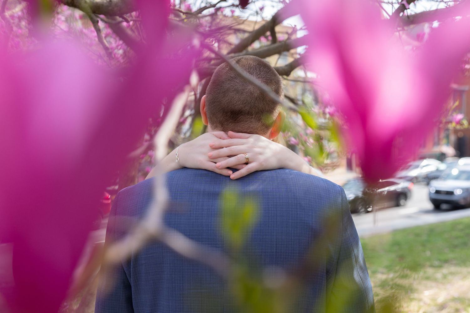 Pink flowering tree branches creating a soft bokeh effect against a blurred background.