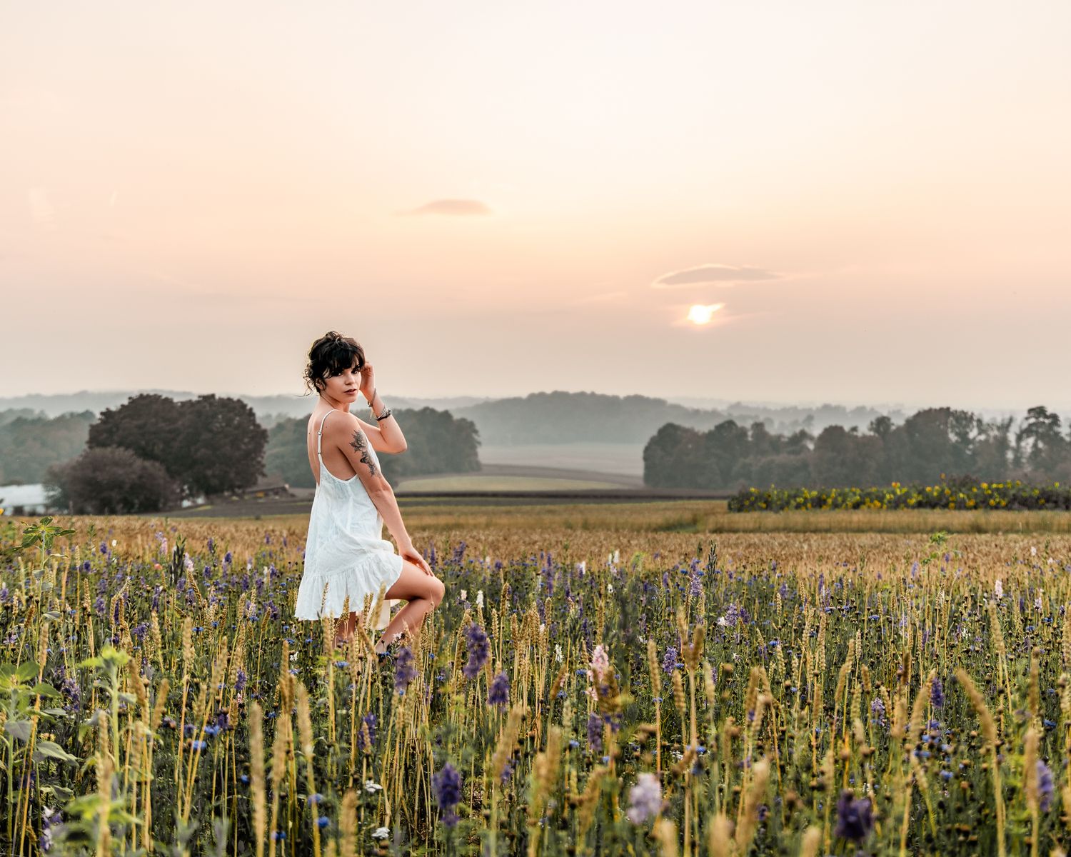 Scenic panorama of a sunflower field at sunset with warm golden light.