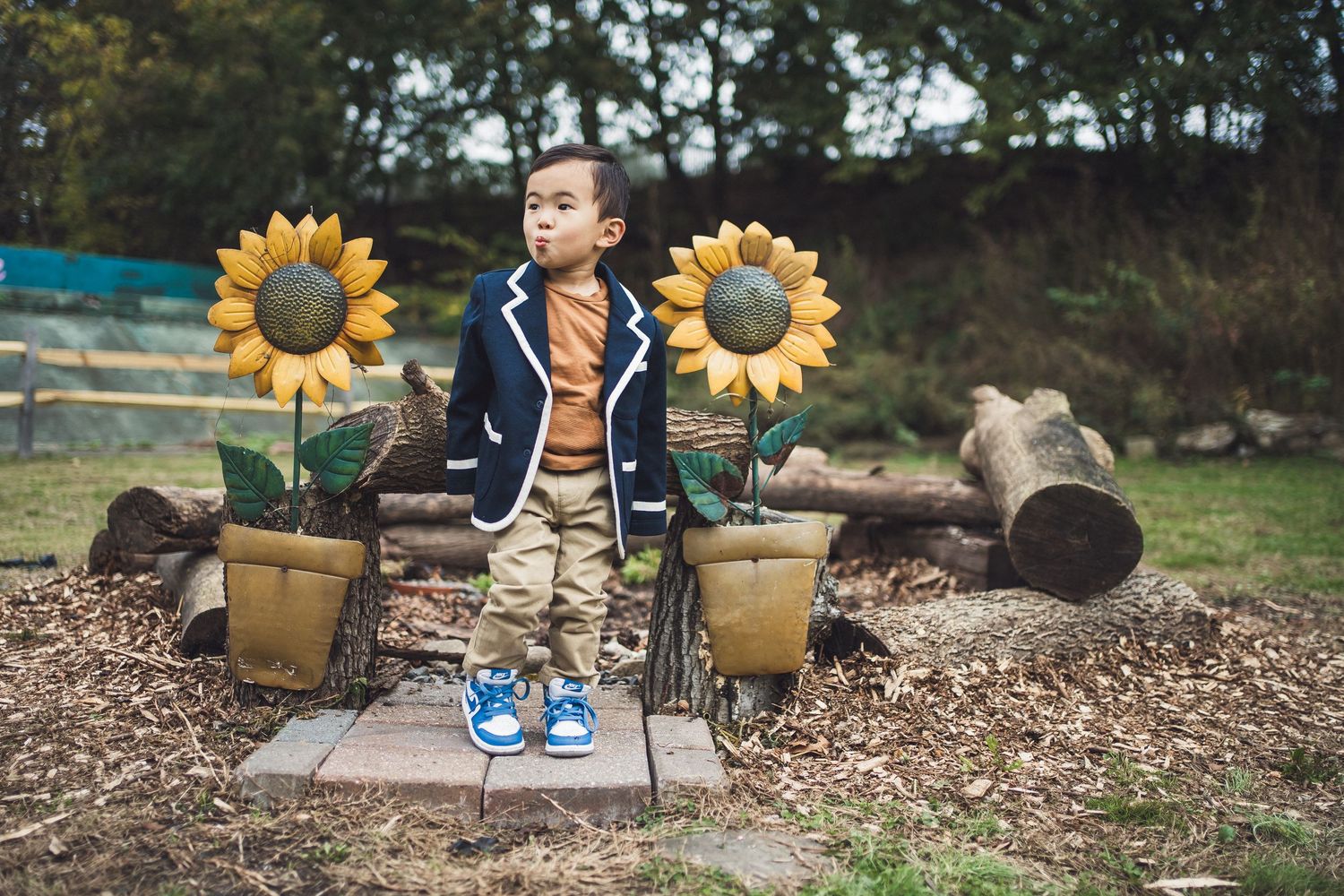 Decorative sunflowers and autumn props arranged for outdoor photography session.