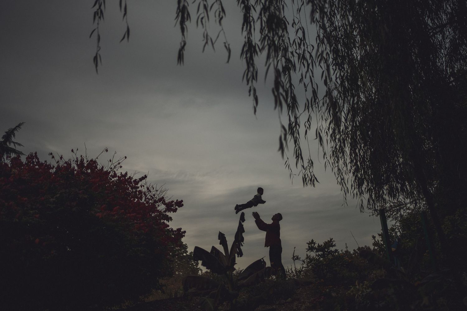 Silhouettes of trees and figures against a moody evening sky in Centennial Gardens