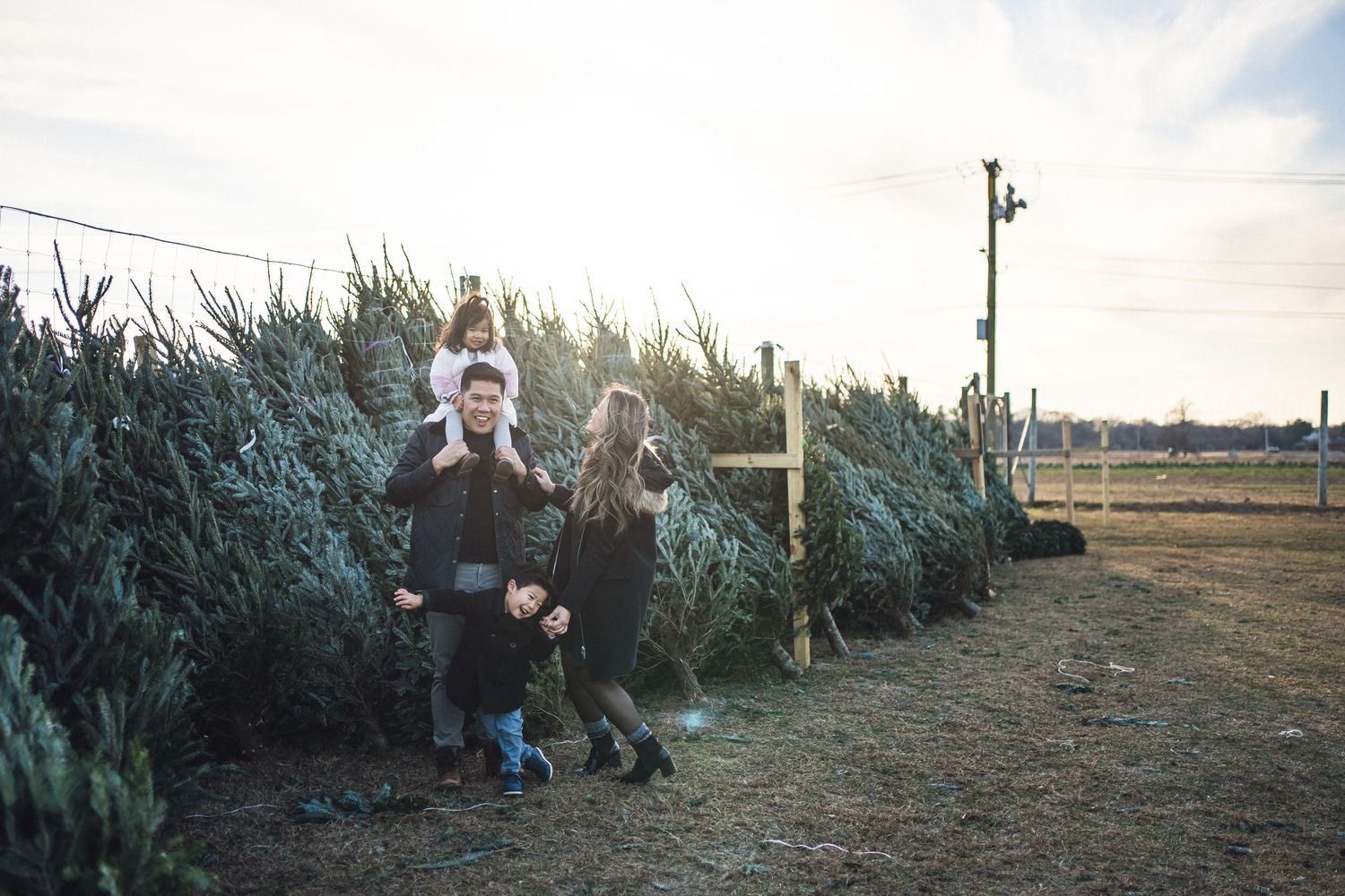 A group enjoys time together at a Christmas tree farm during sunset.