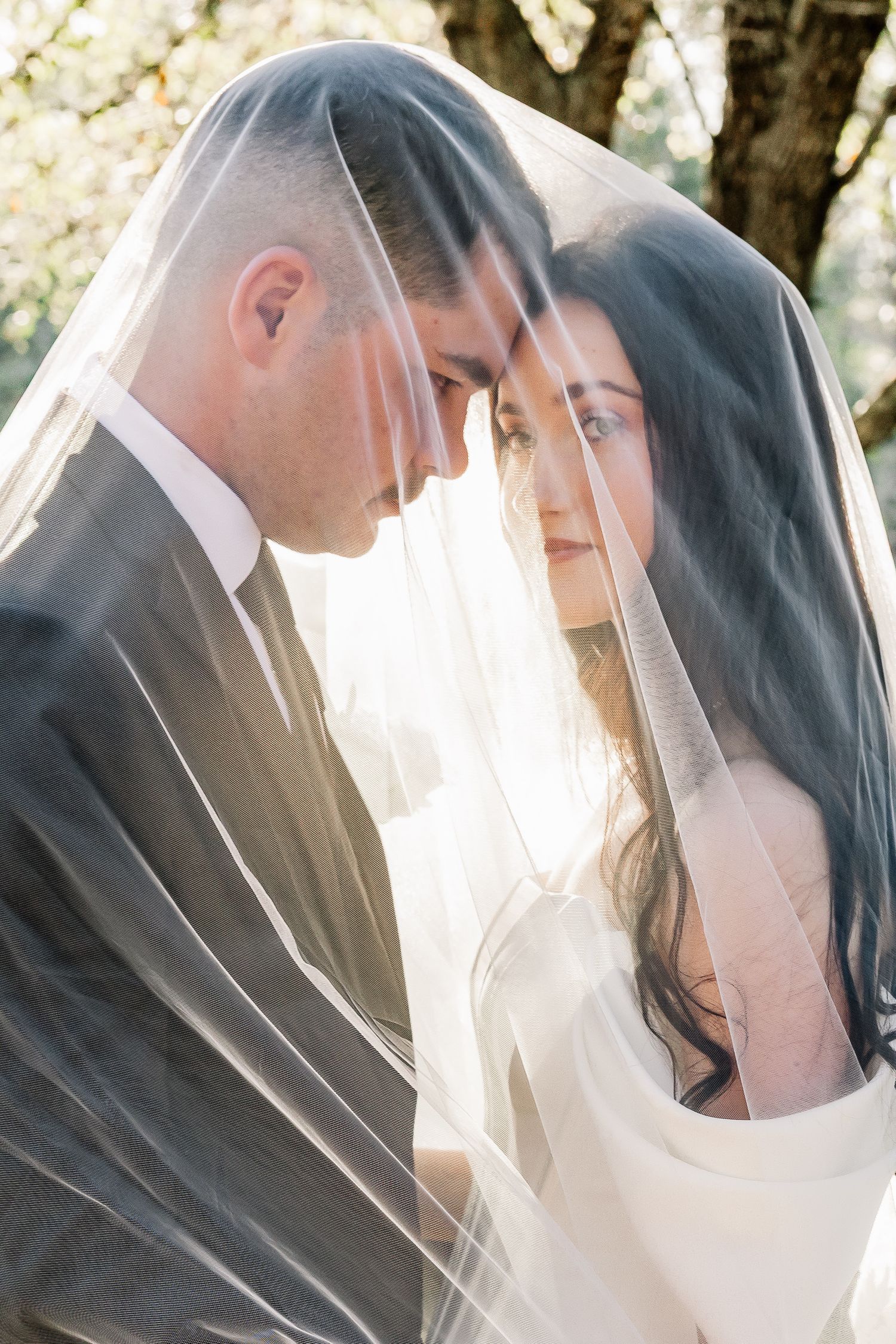 A bride and groom share an intimate moment under a sheer wedding veil, foreheads nearly touching, surrounded by soft natural light.
