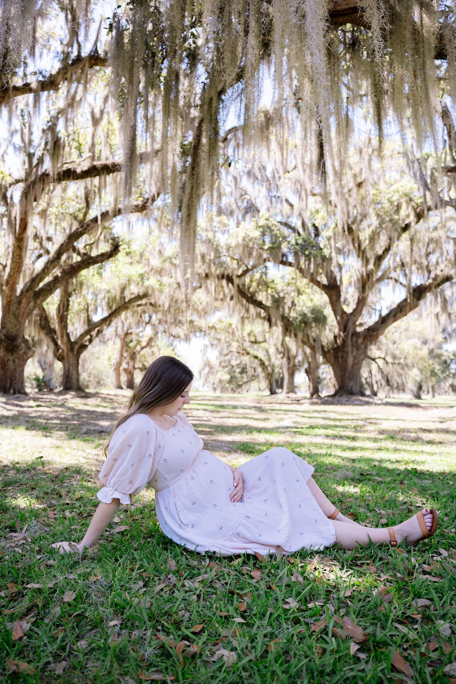 Pregnant woman in white dress sits peacefully on grass under canopy of Spanish moss-covered trees.