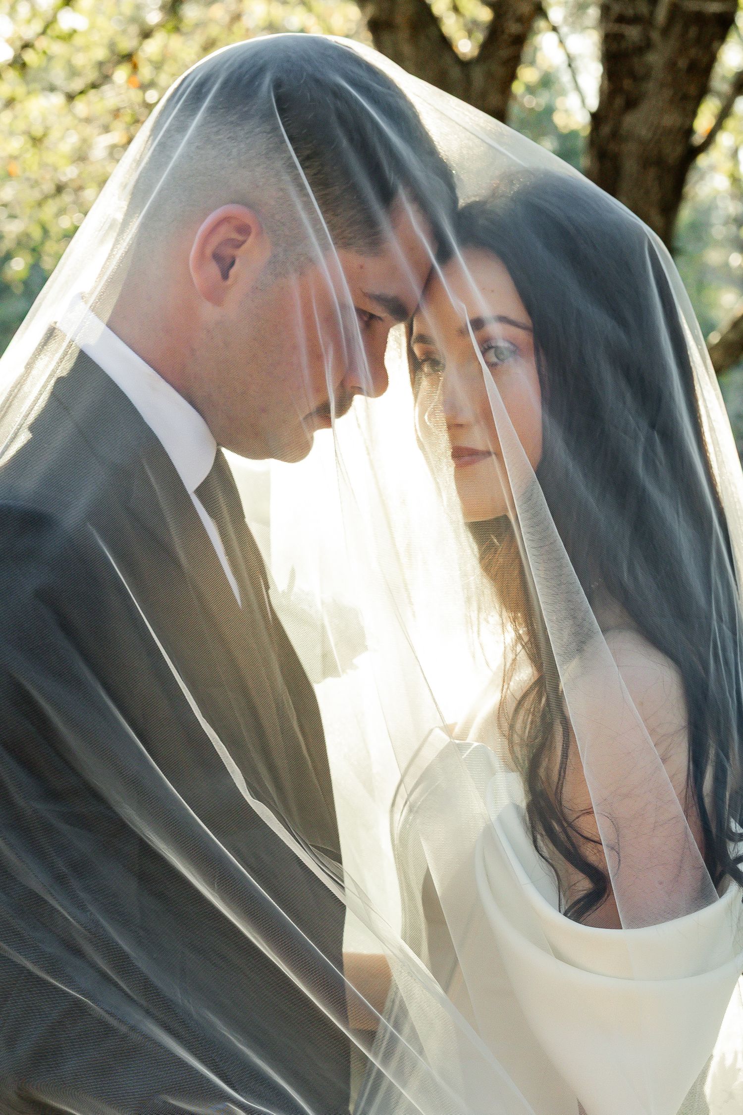 Romantic couple gazes at each other under a sheer wedding veil in sunlit garden.