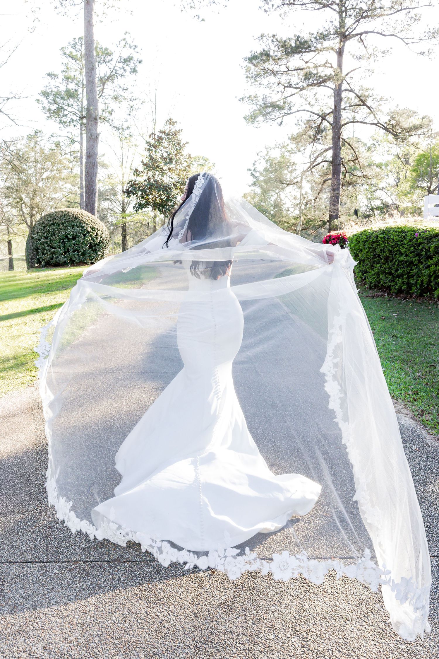 Bride in mermaid gown walks with flowing lace-trimmed cathedral veil billowing behind her.