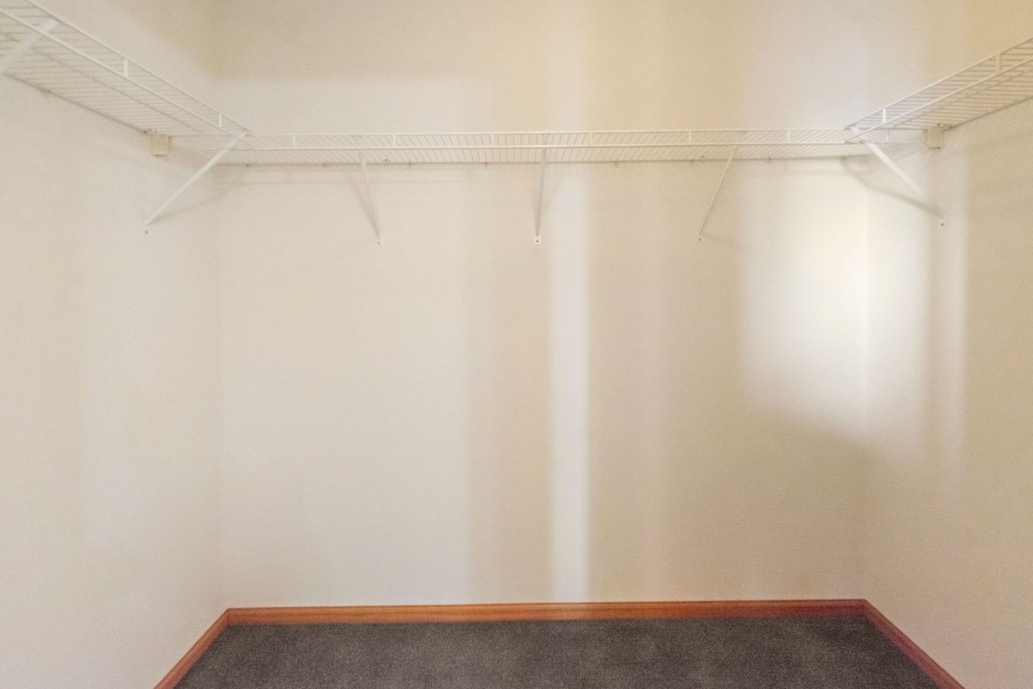 Large unfurnished room with white walls and crown molding illuminated by natural light.