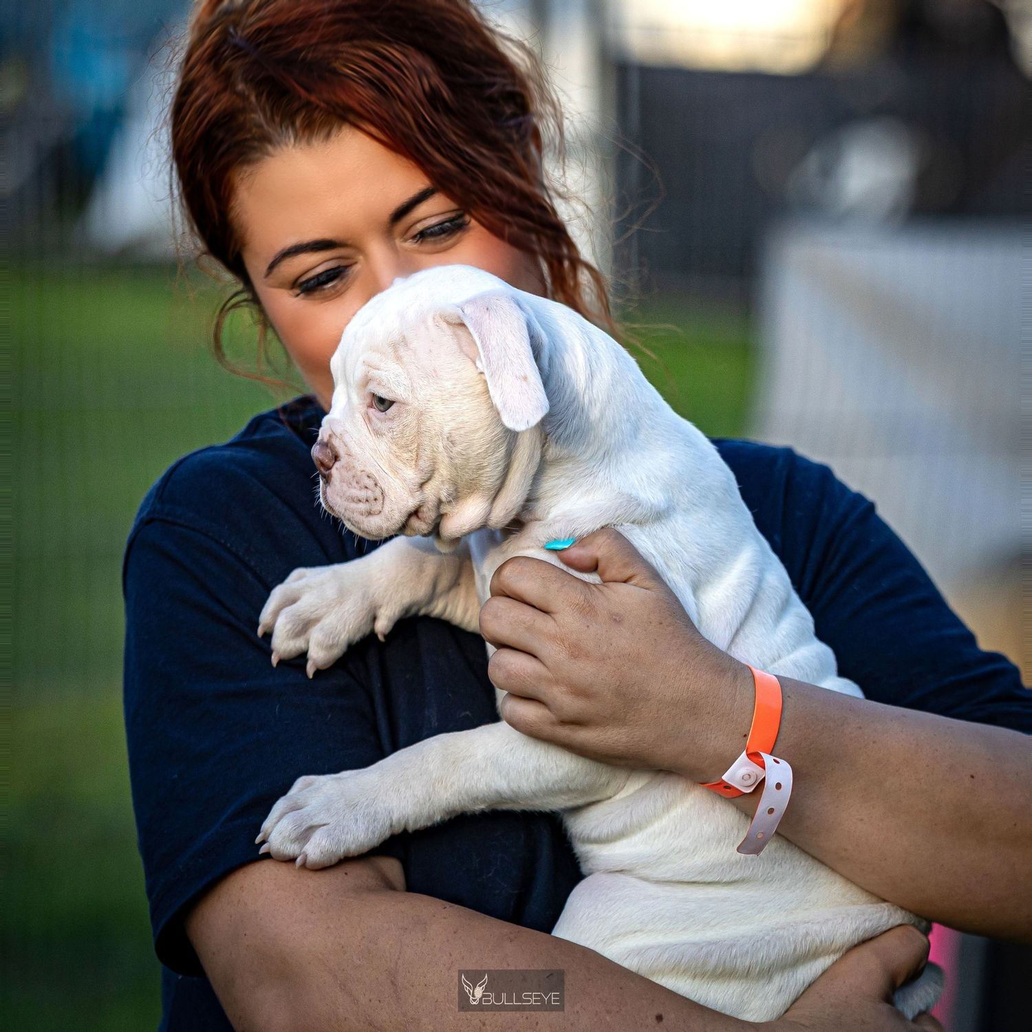 Person holding and cuddling a white puppy outdoors.
