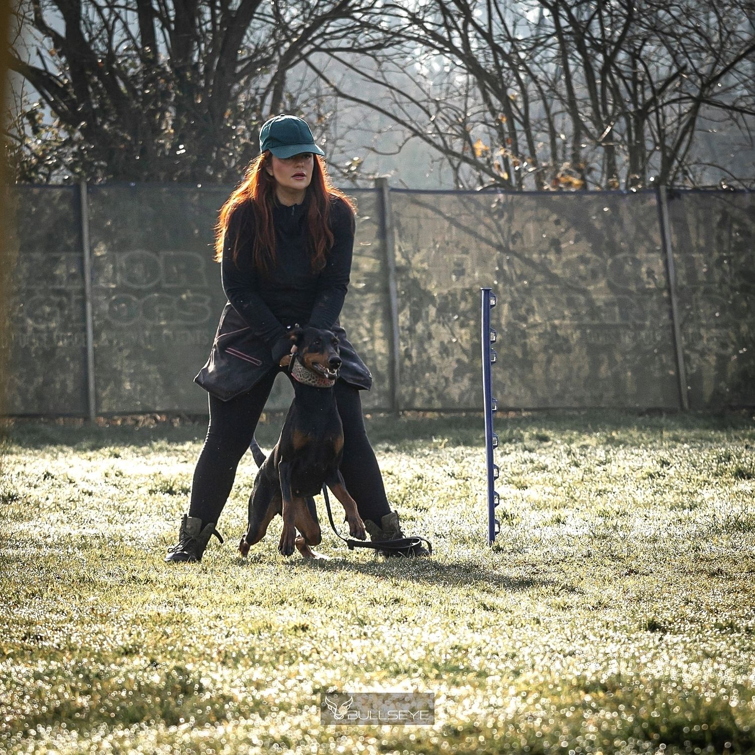Dog training session in outdoor field with handler and Doberman.