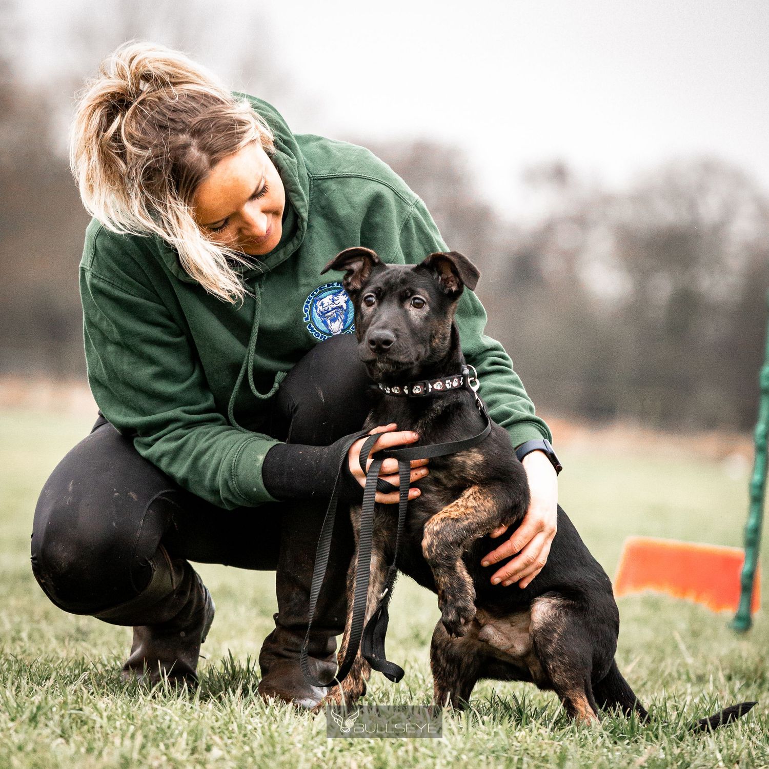 Black dog receiving affectionate attention while training outdoors.