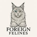 Minimalist grey illustration of lounging cat with text Foreign Felines.