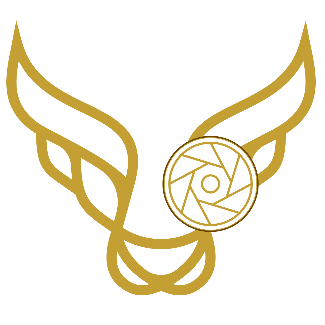Bullseye fotoz logo