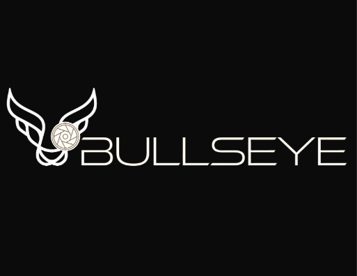 A minimalist black and white logo design featuring a stylized wing and the text 'BULLSEYE'.