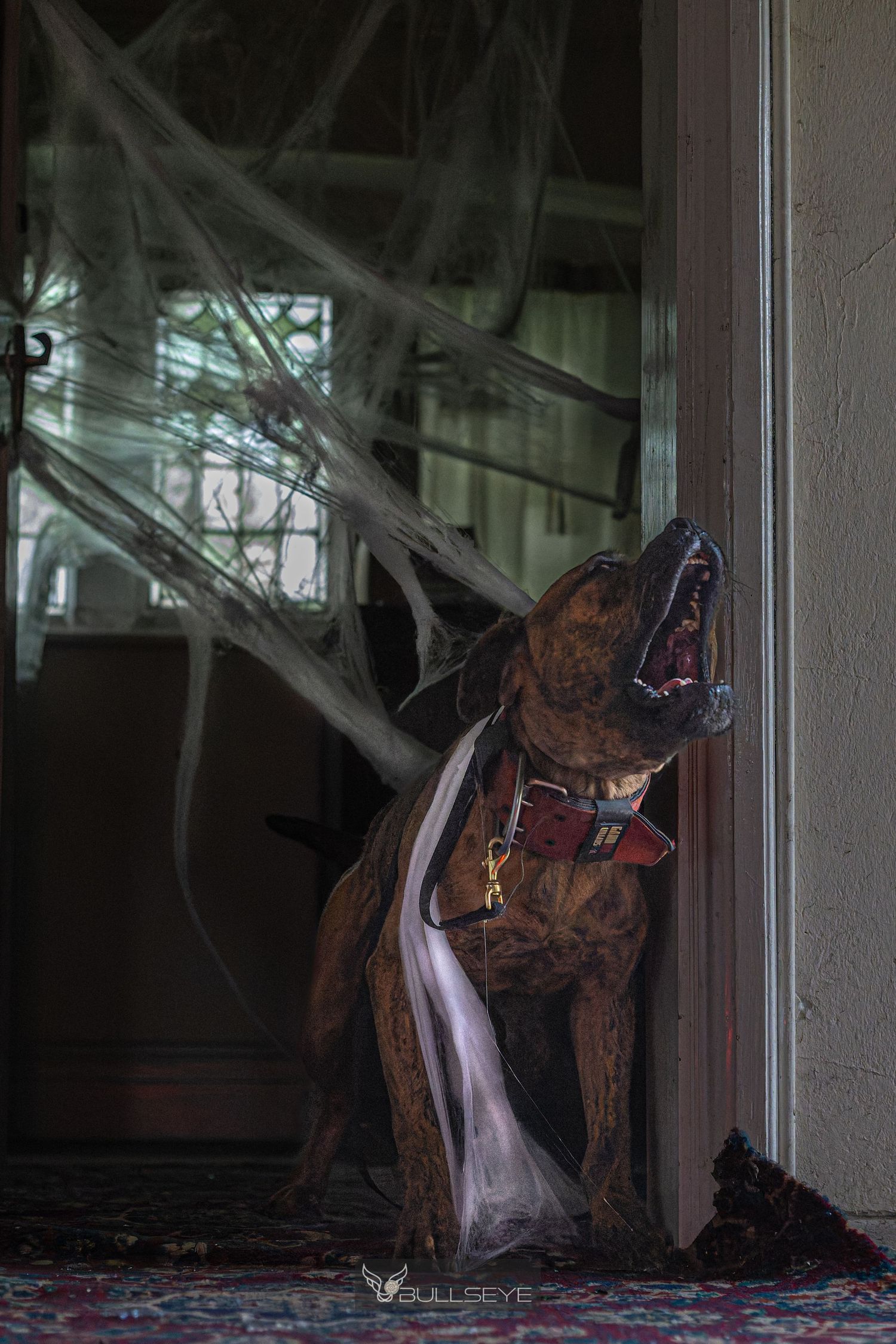 Decorative cobweb Halloween scene with spooky lighting effects.
