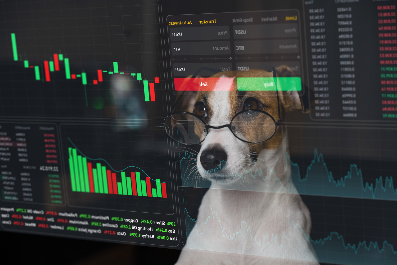 Dog wearing glasses studies financial market data and stock charts on computer screens.