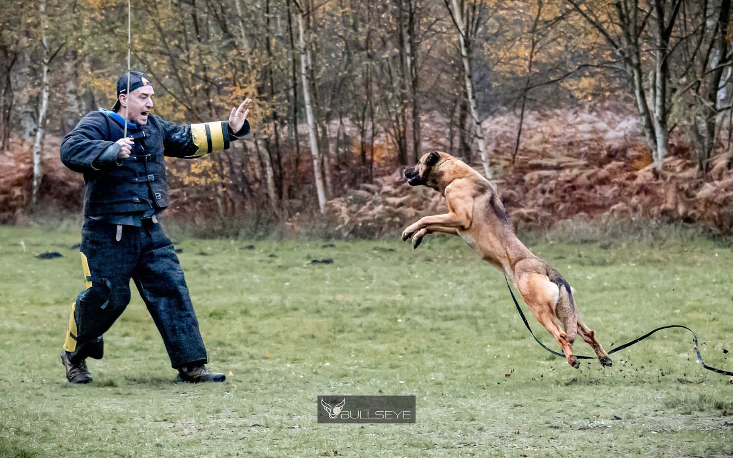 Dog and handler performing training KNPV exercises in an open field.