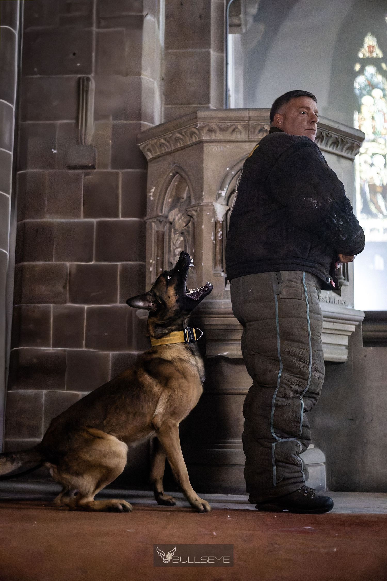 Working dog and handler conducting security search operations in dark church interior.
