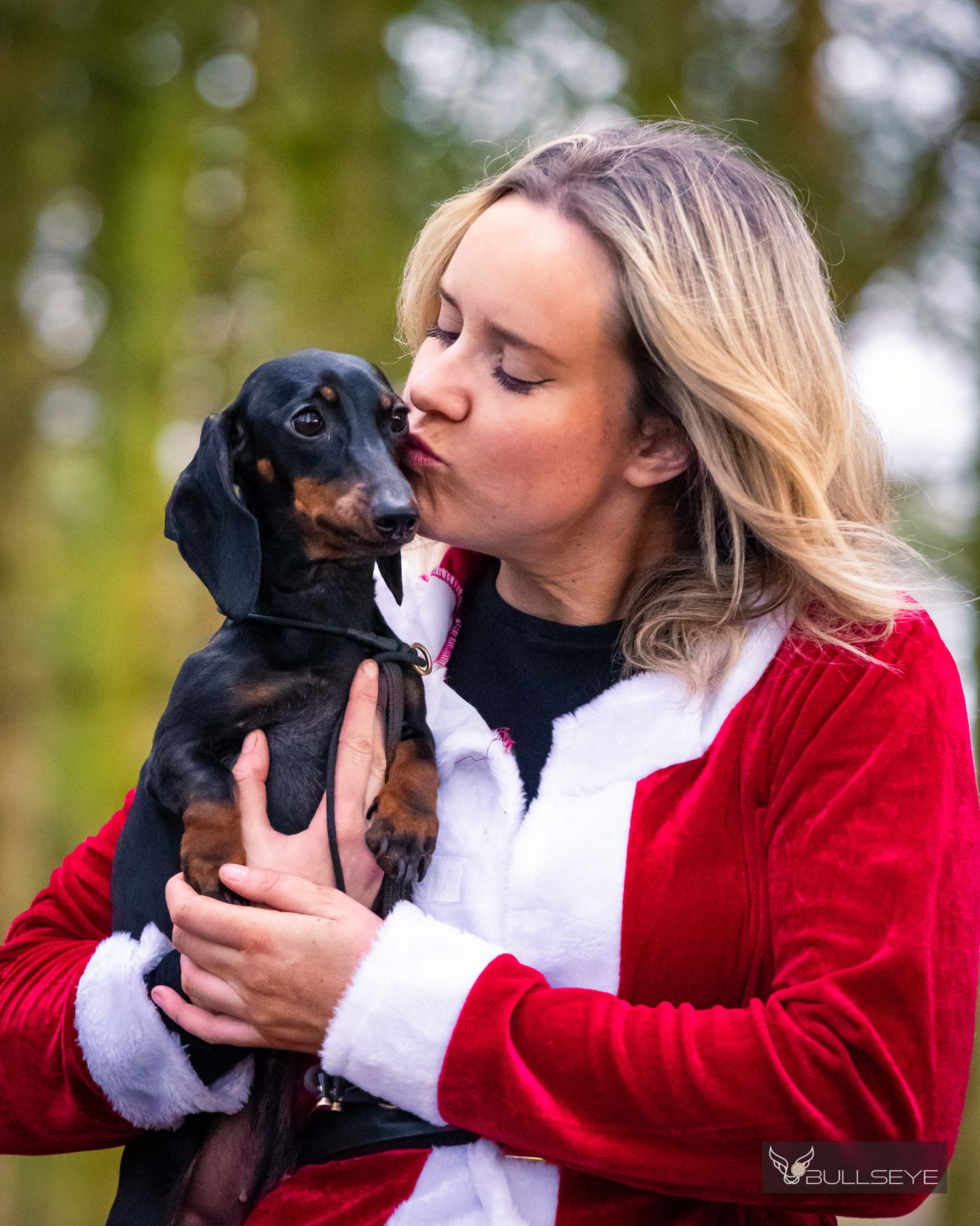 Small black dachshund puppy getting holiday kisses while wearing festive attire.