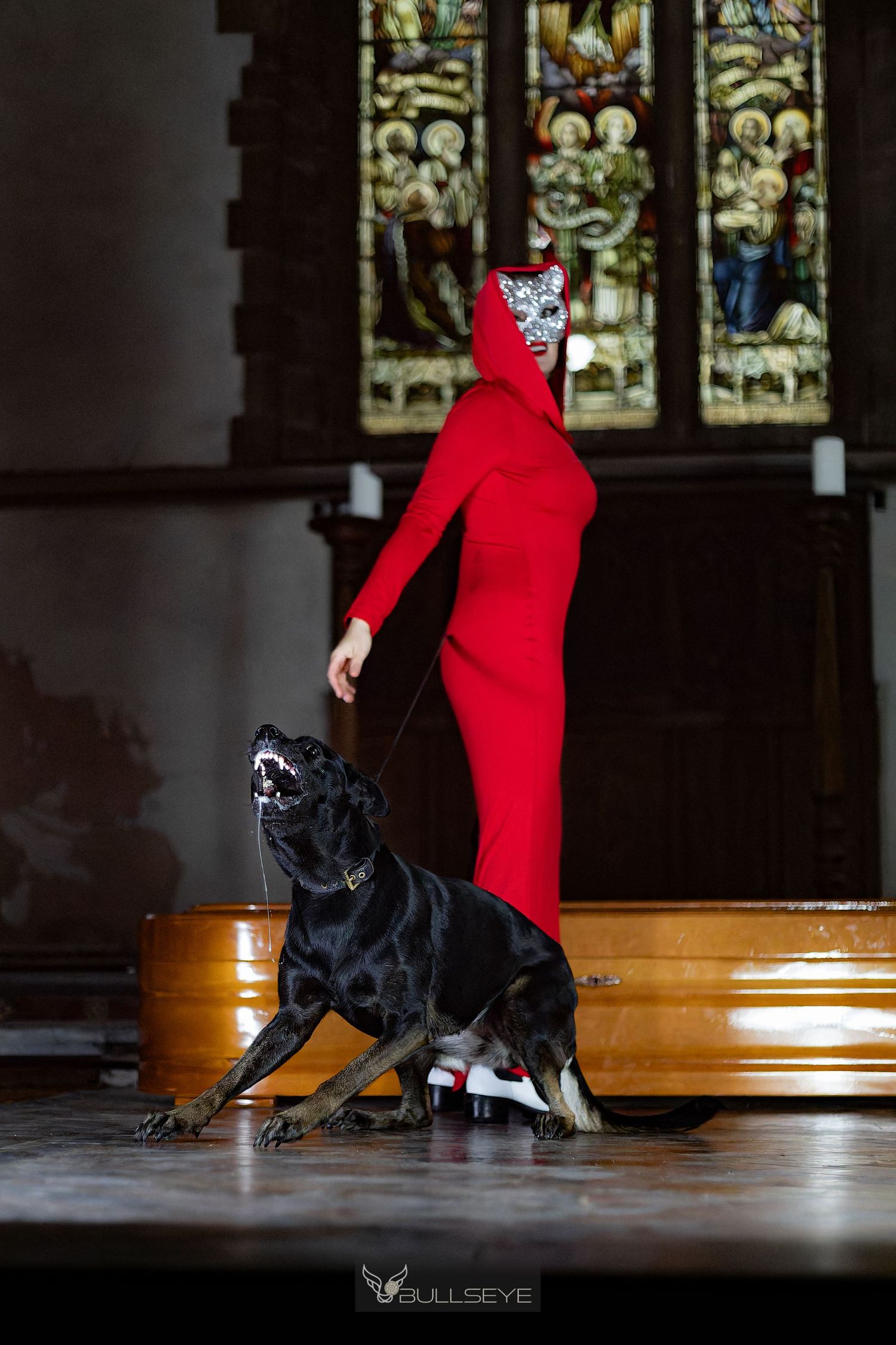 A sequence of dynamic dance moves featuring a person in red and a black dog performing together on a wooden floor.