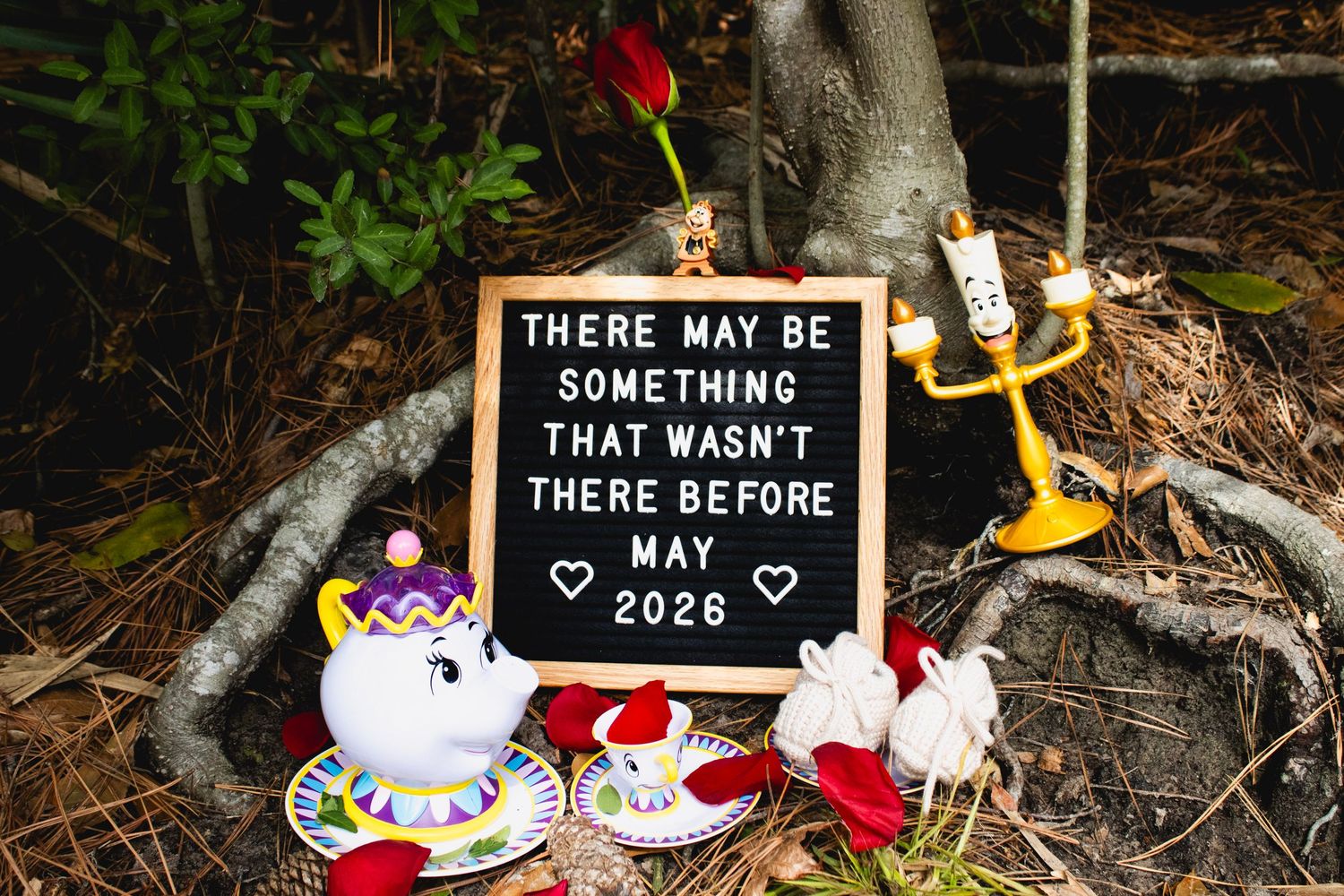 Decorative woodland gnomes and signs arranged with fairy lights in a forest setting.