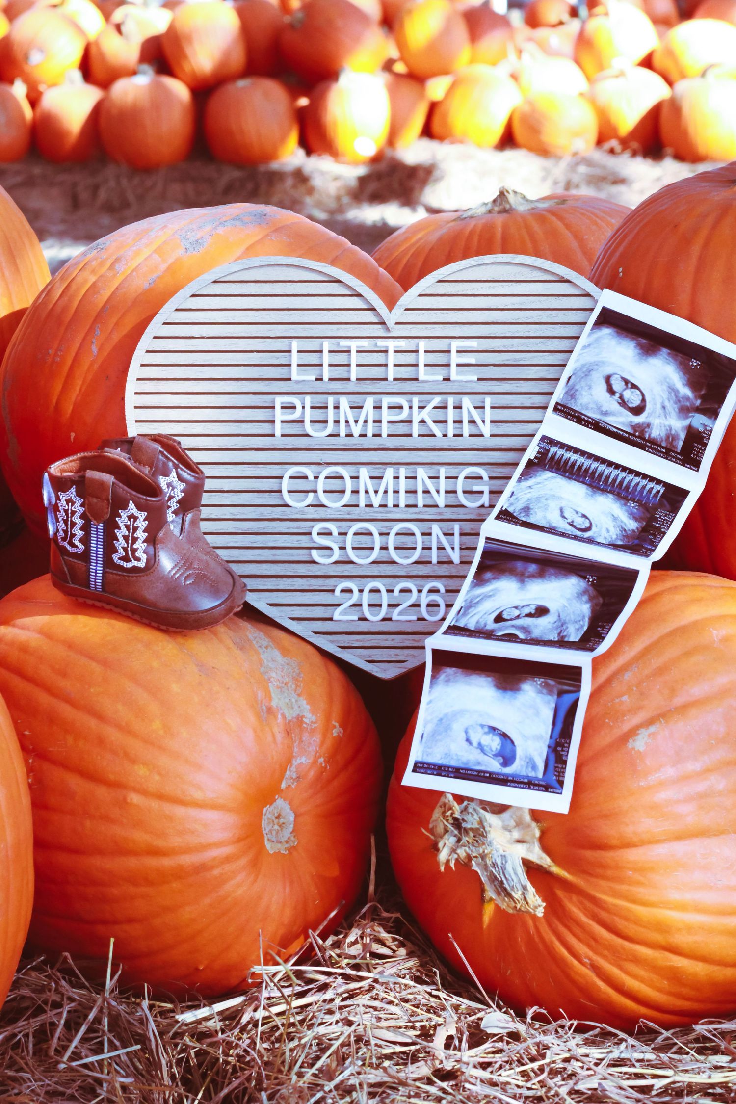 Row of orange pumpkins with heart-shaped signs and photos displayed on hay bales.