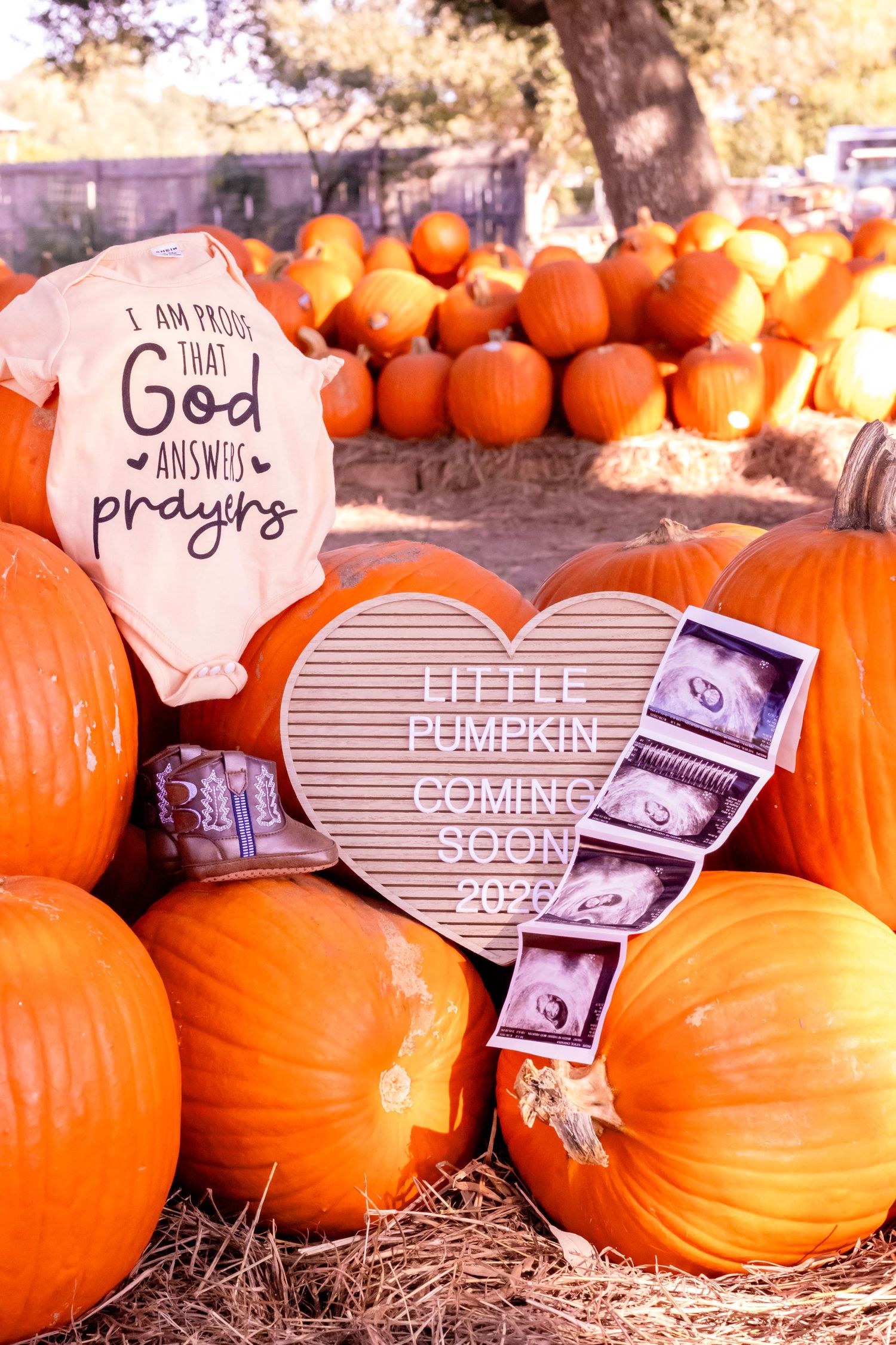 Pregnancy announcement display with baby onesie and ultrasound photos among orange pumpkins.