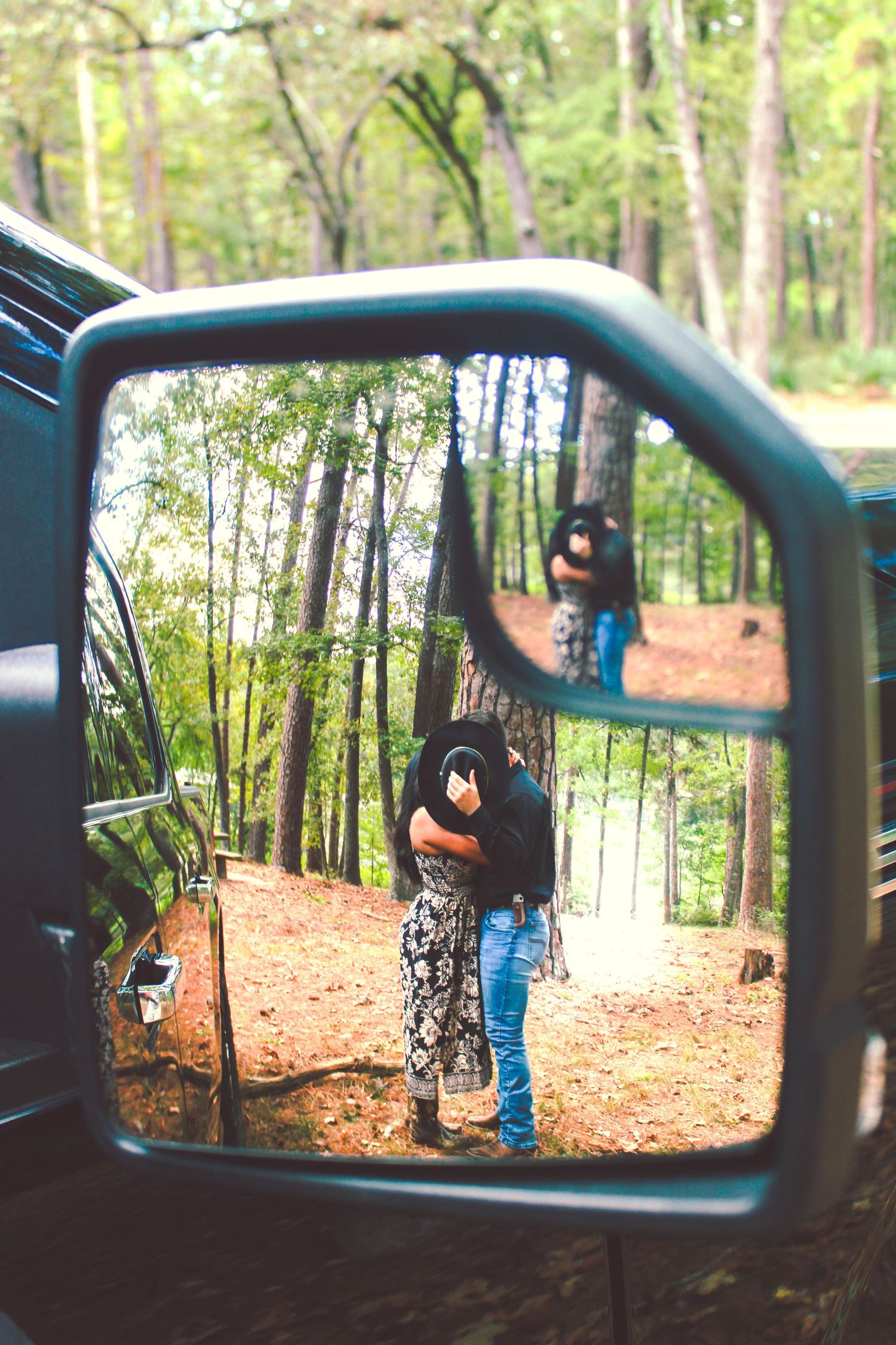 Series of photos through a car window showing pine trees and forest scenery.