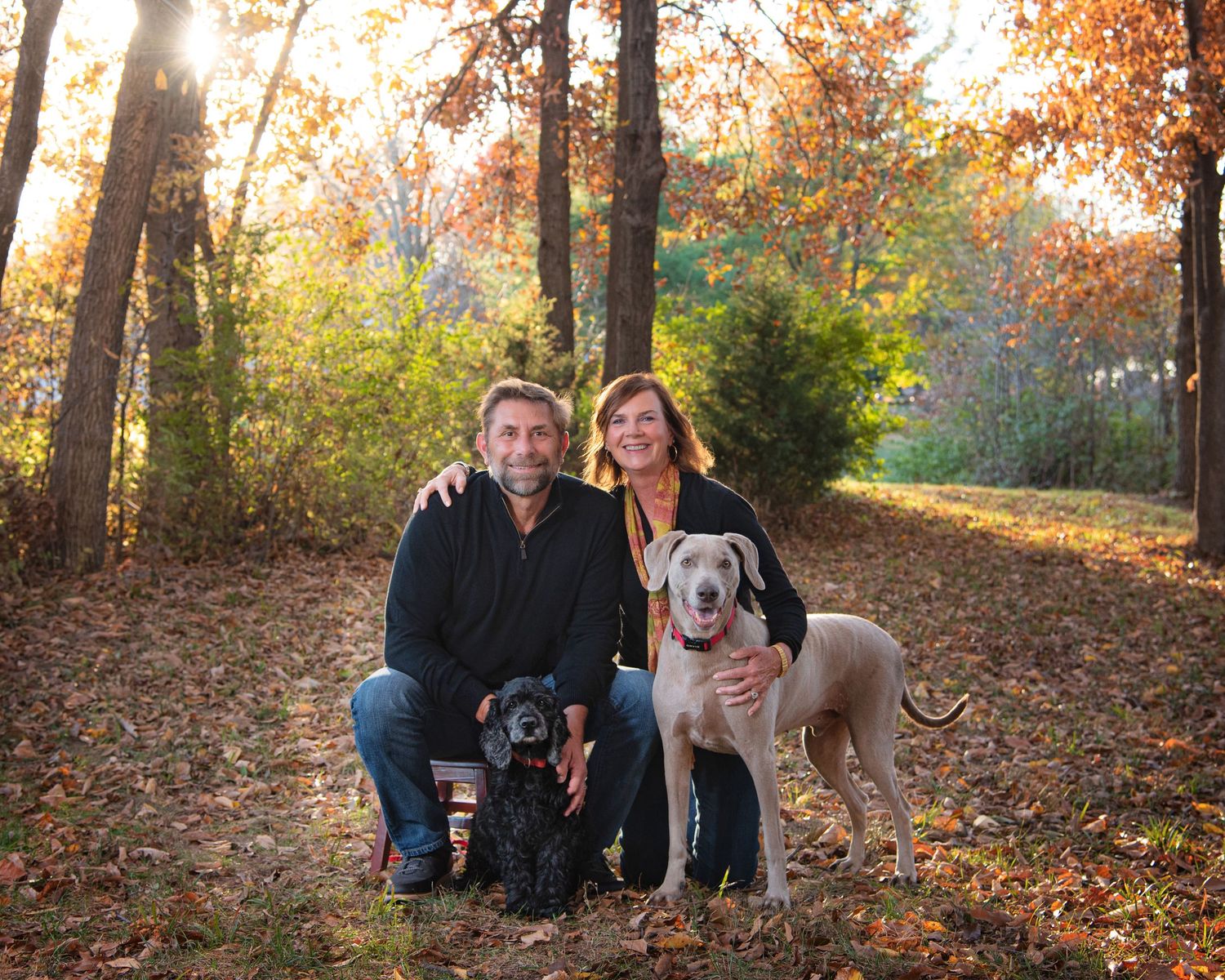 Couple kneeling with two dogs in autumn forest with golden sunlight filtering through colorful fall foliage.