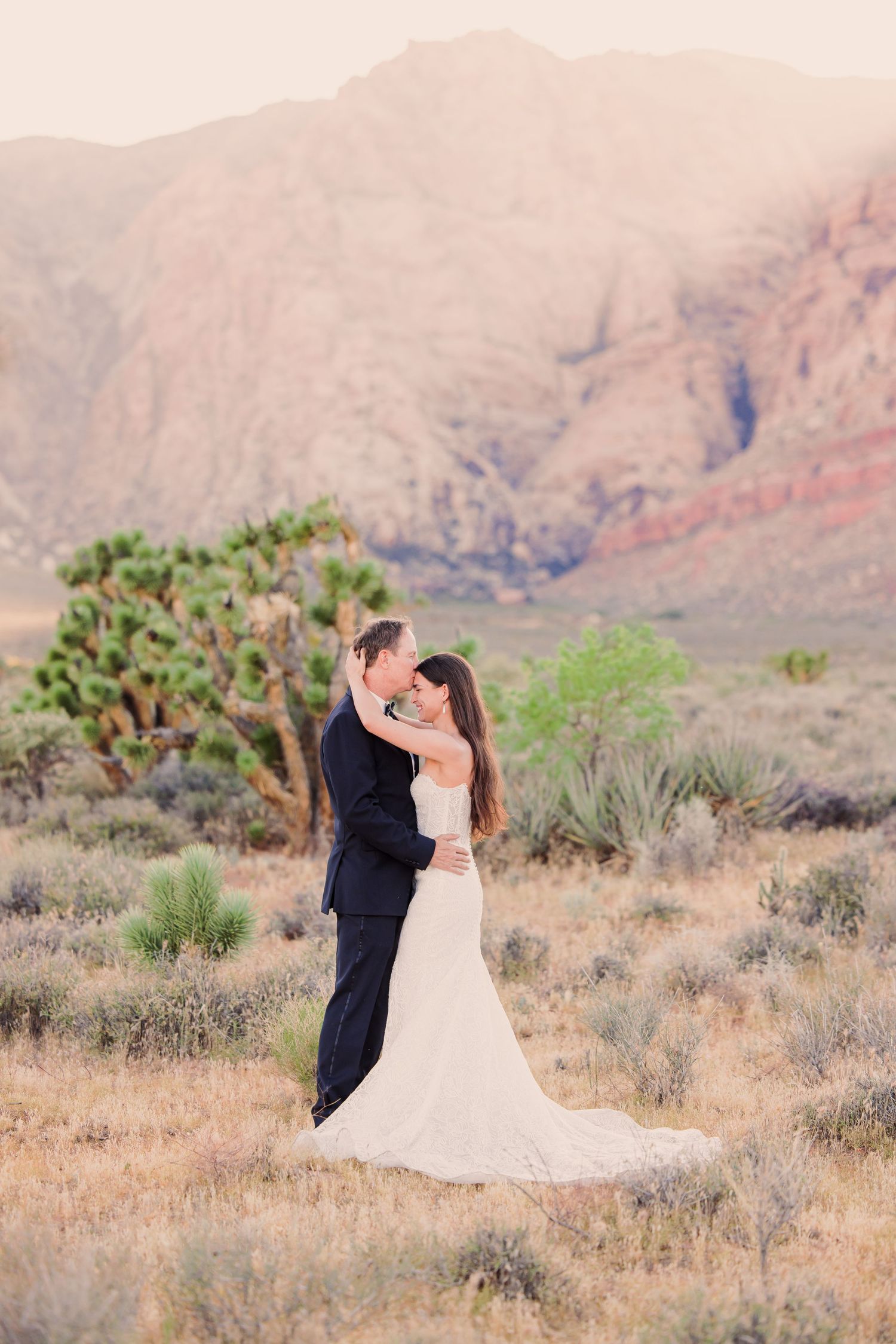 A romantic desert wedding photoshoot with Joshua trees and mountains creating a stunning natural backdrop in warm light.