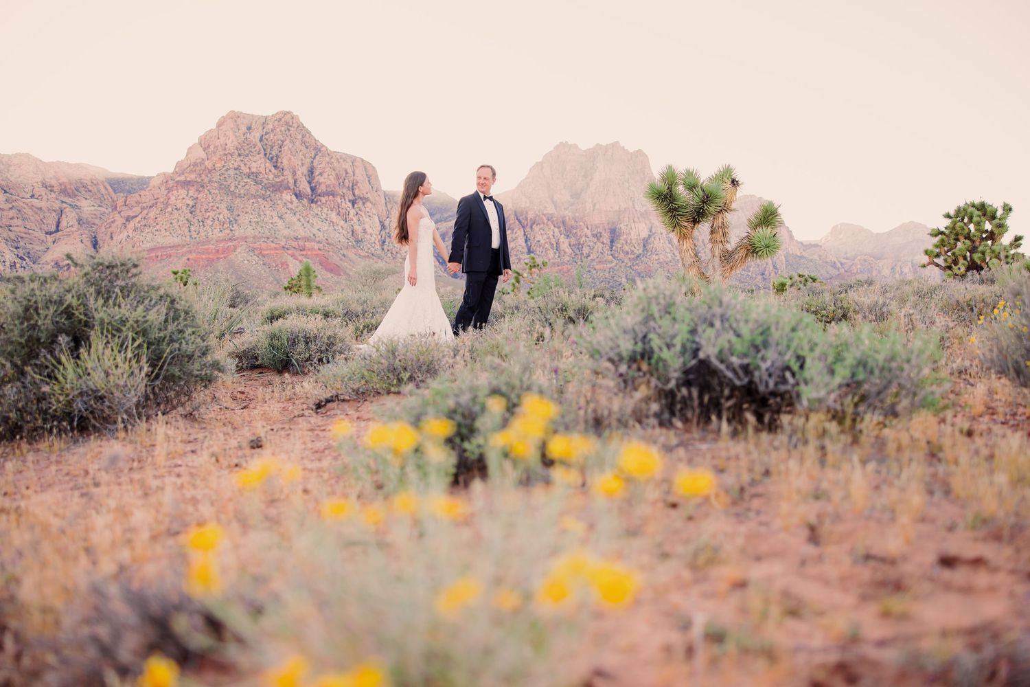 A couple stands among desert wildflowers with Red Rock Canyon's majestic peaks creating a stunning backdrop at sunset.