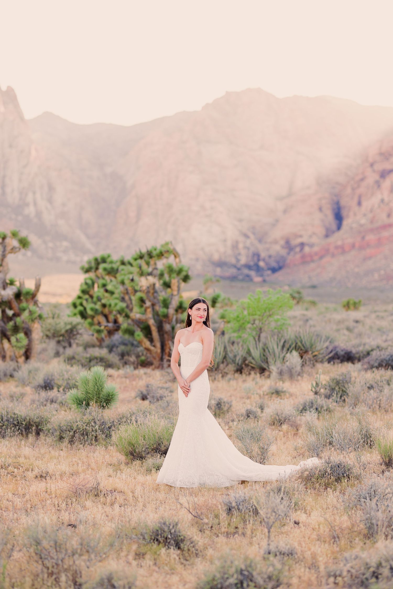 Desert landscape with mountains and desert brush provides a dreamy backdrop for an elegant bridal portrait session.