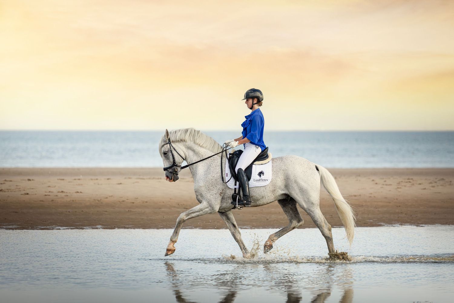 florence kerckhove dressuurruiter bekende vlaming aan het strand in belgie