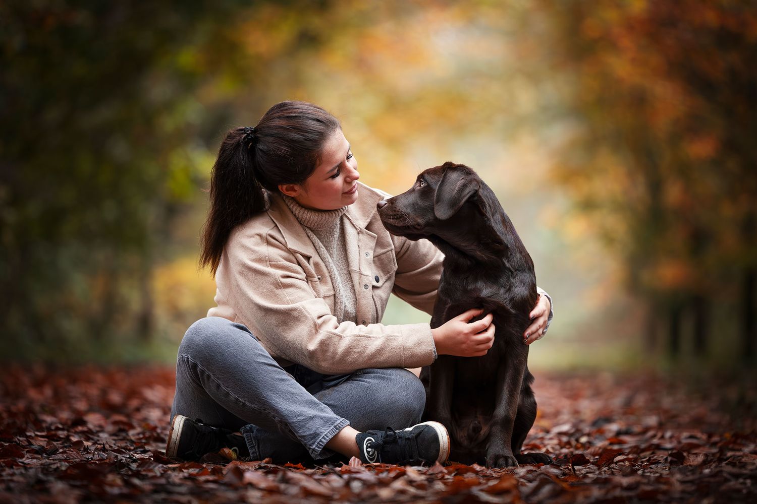 bruine labrador in de prachtige herfstkleuren