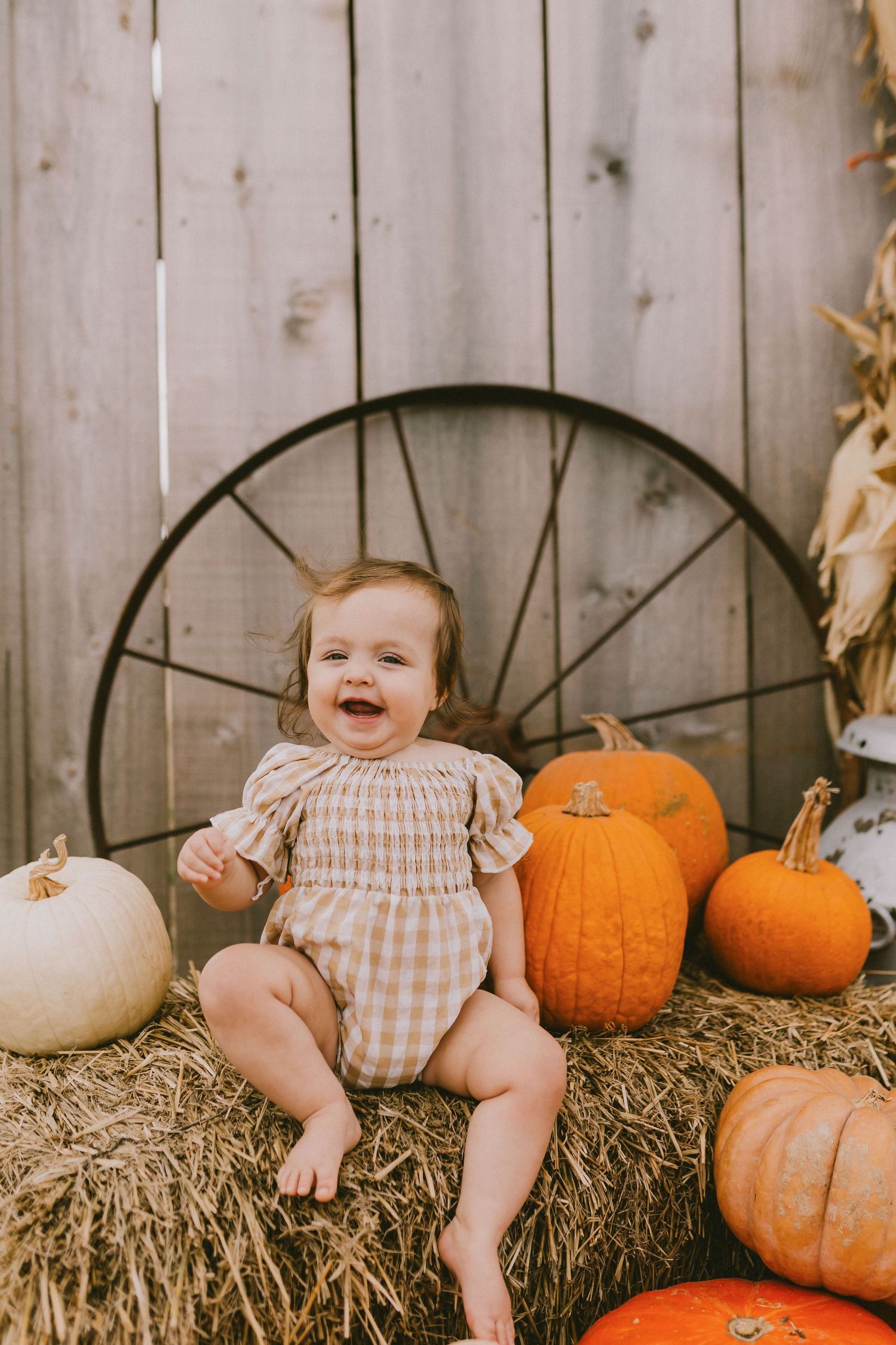 austin milestone photographer