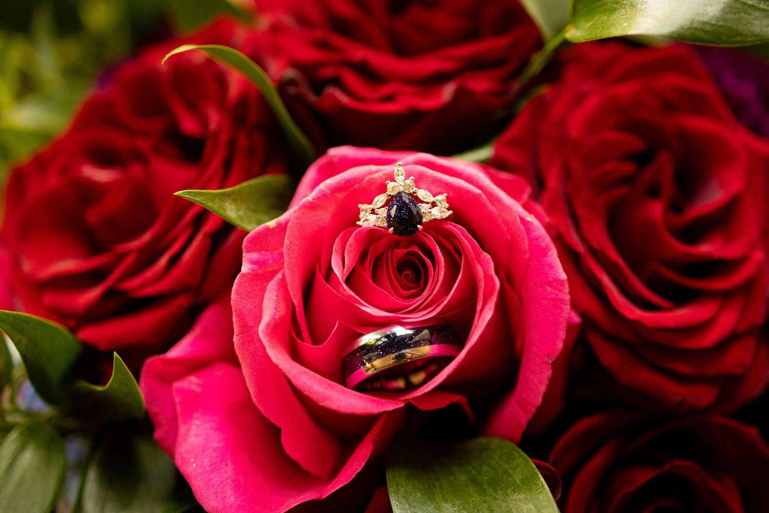 Wedding rings nestled in vibrant red and pink roses with green leaves in a macro photography shot.