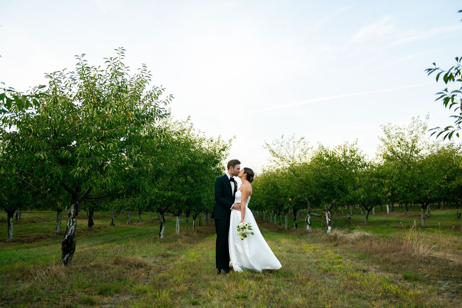 A couple in wedding attire walks through a scenic orchard setting during a golden hour photo session.