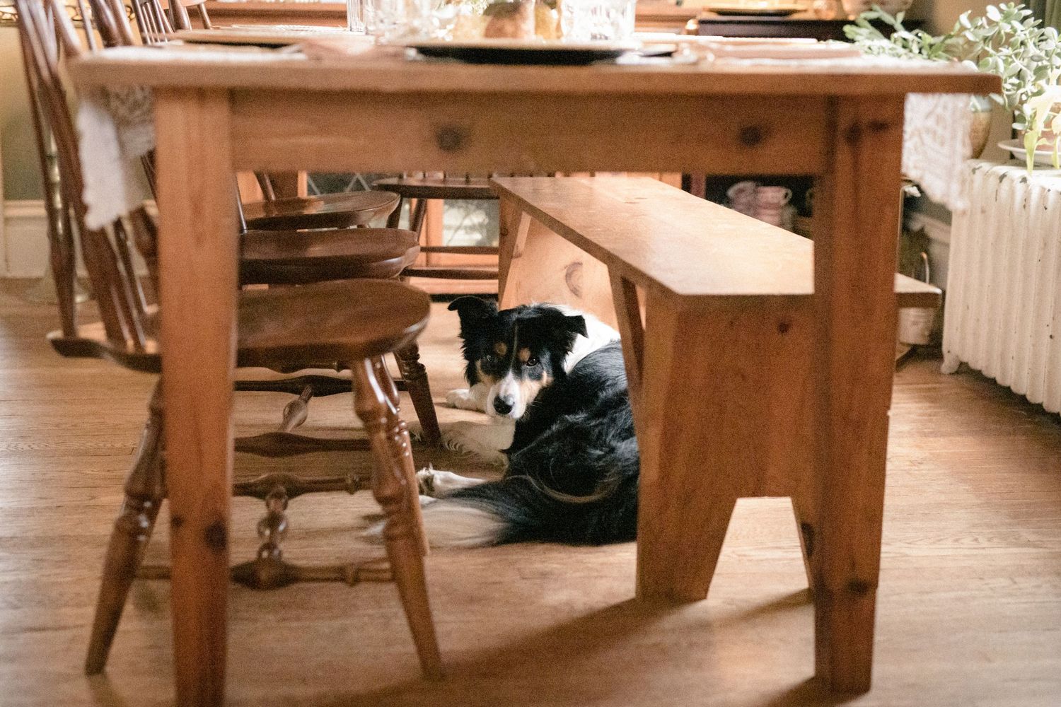 Wooden dining chairs and tables arranged in a rustic restaurant interior with warm lighting and hardwood floors.