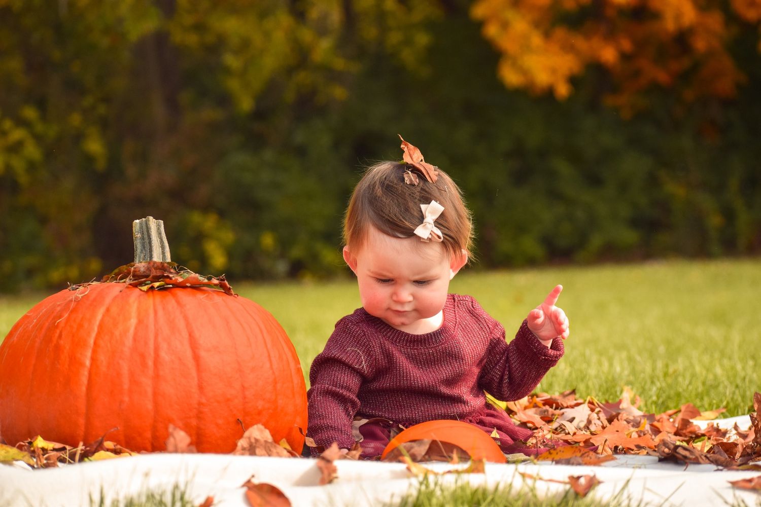 Autumn scene with pumpkin and fallen leaves on grass.
