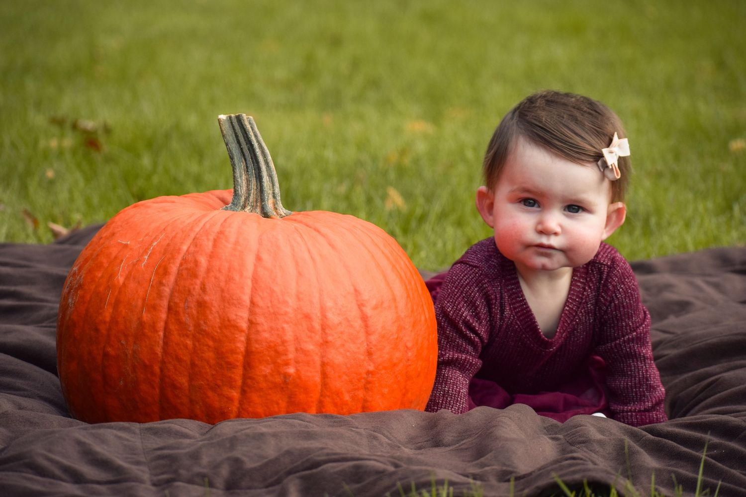 Large orange pumpkin sits on dark blanket with autumn scenery in background.