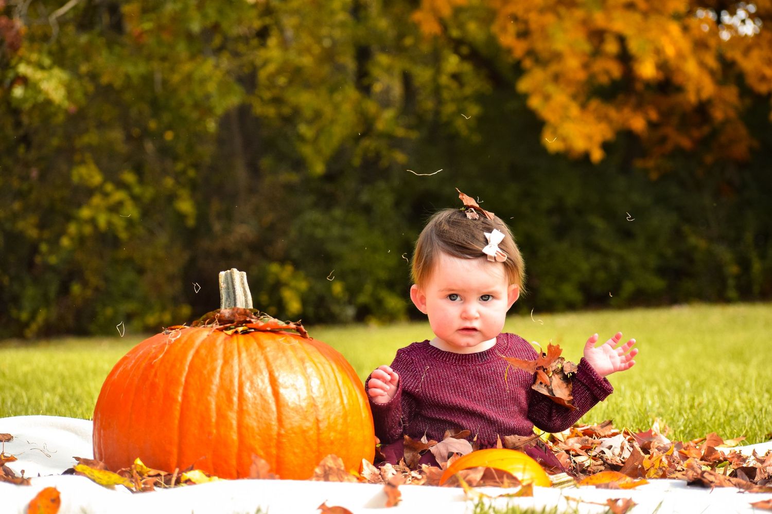 Large orange pumpkin sits among fallen autumn leaves on green grass.