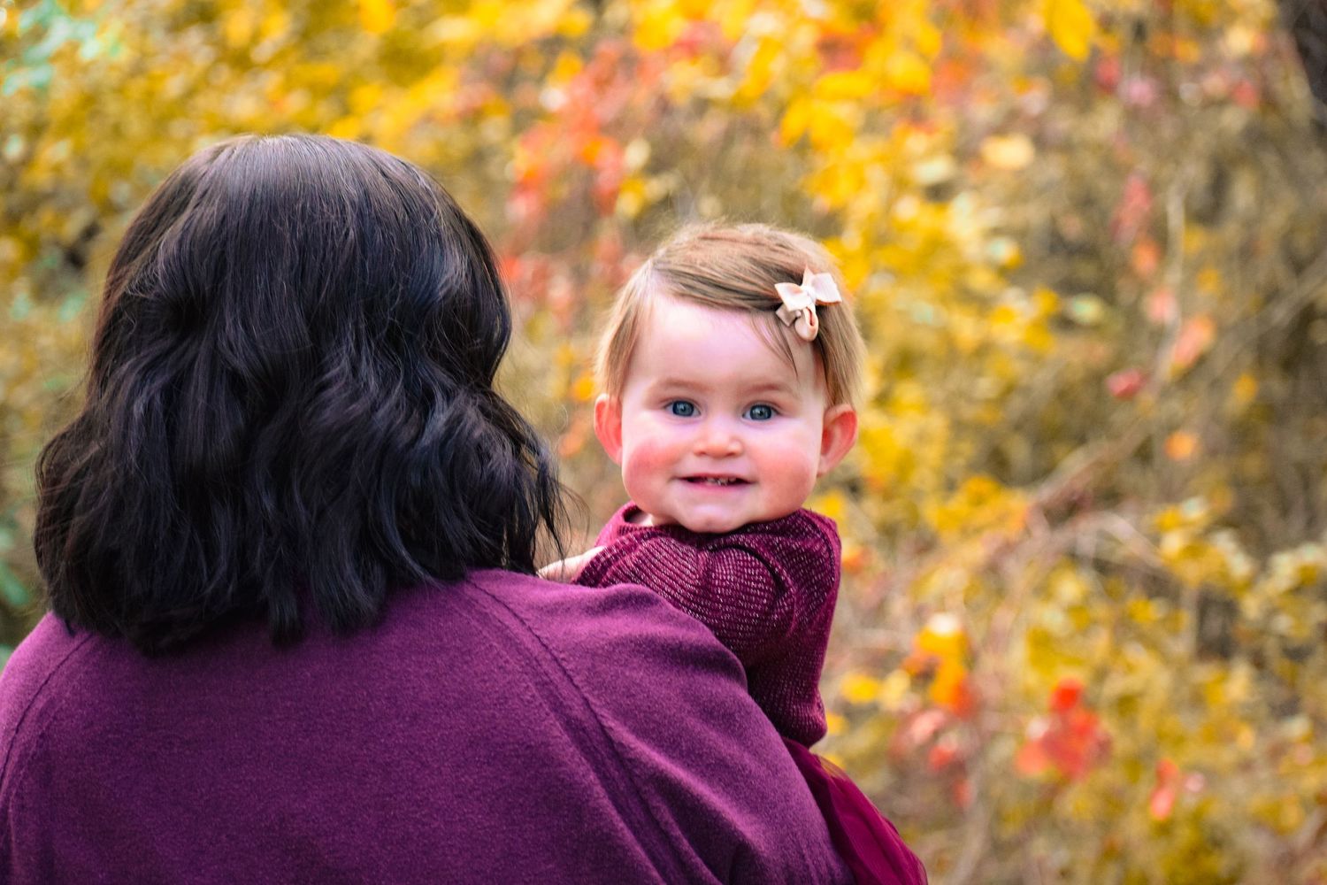 Fall foliage creates a vibrant yellow backdrop in an outdoor setting.