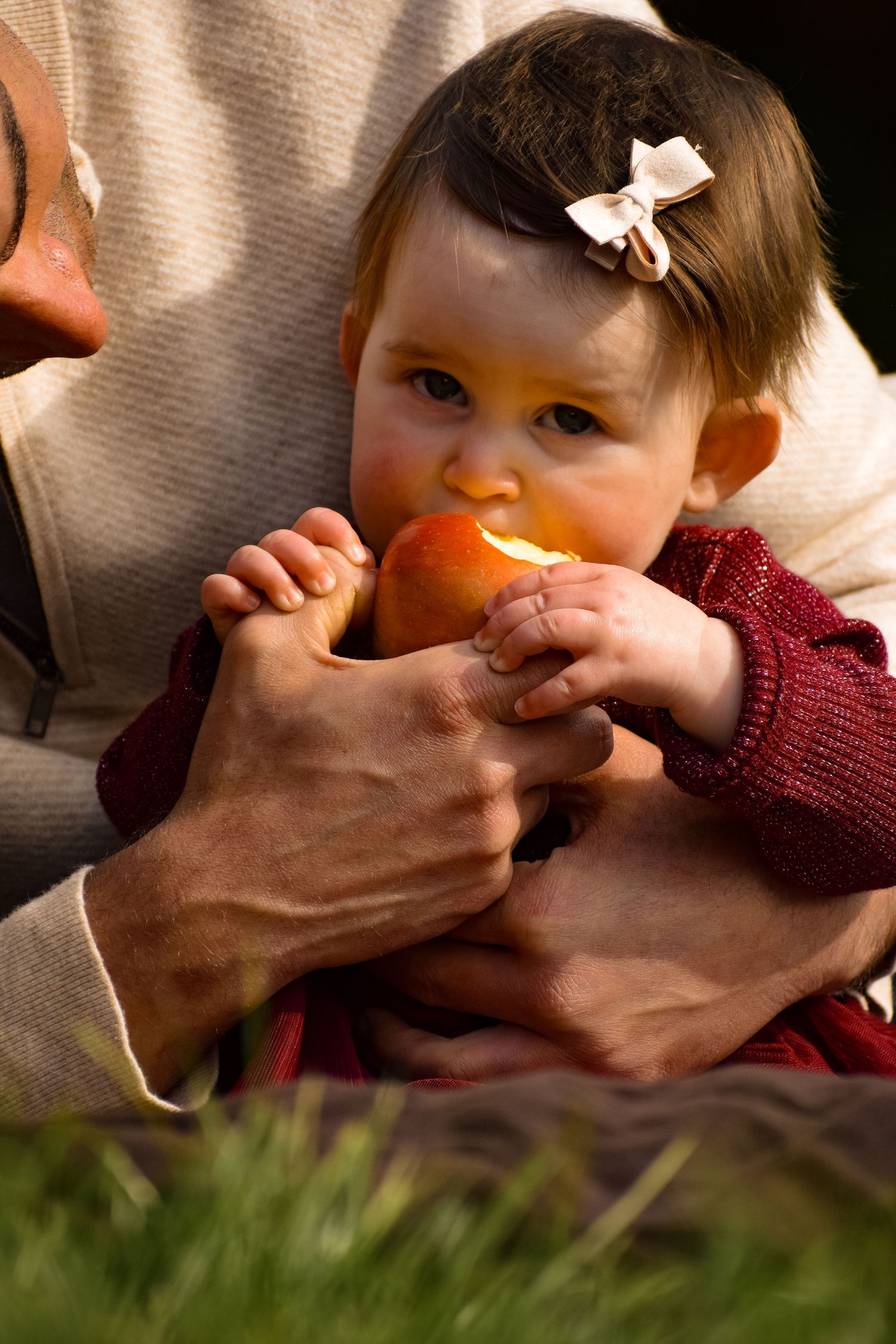 Hands gently cover a small child's face in playful moment with sunlit backdrop.
