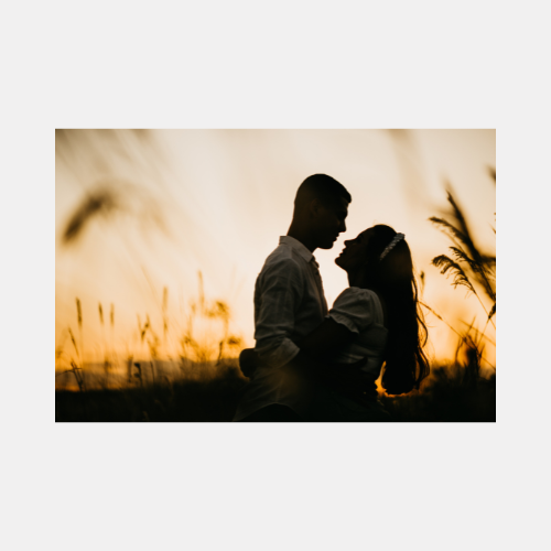 Silhouettes of tall grass and plants against a dramatic orange sunset sky with dark shadows in the foreground.
