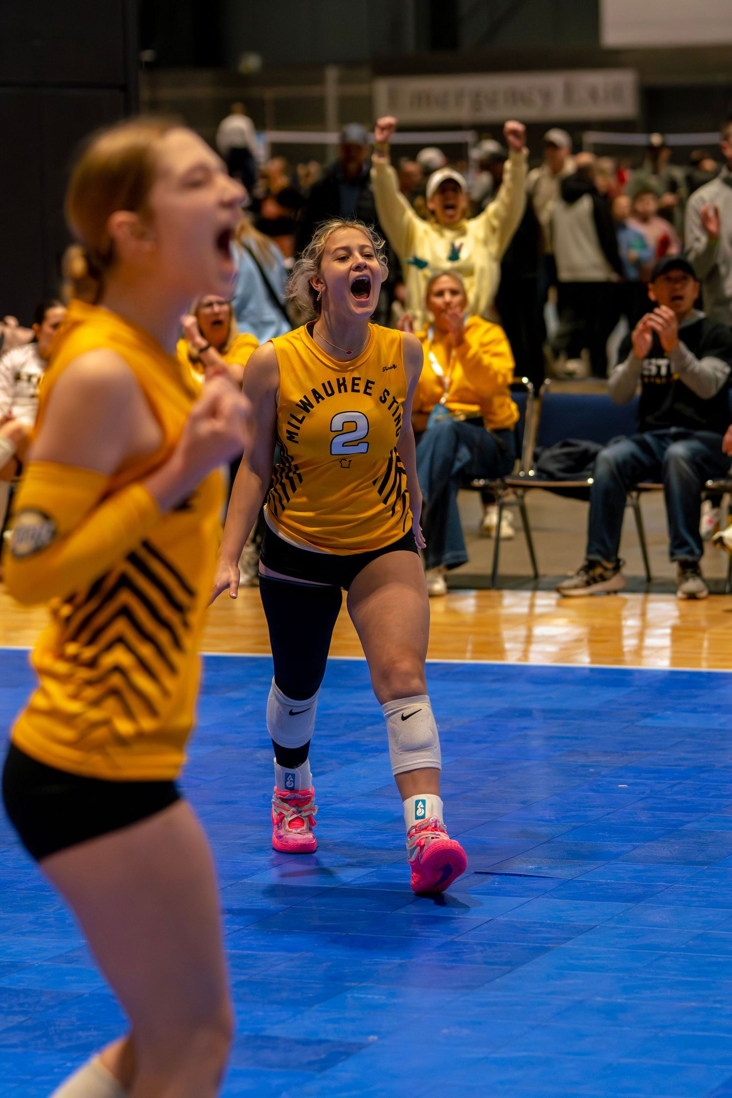 Milwaukee State volleyball players celebrate a point with fans cheering in the background.