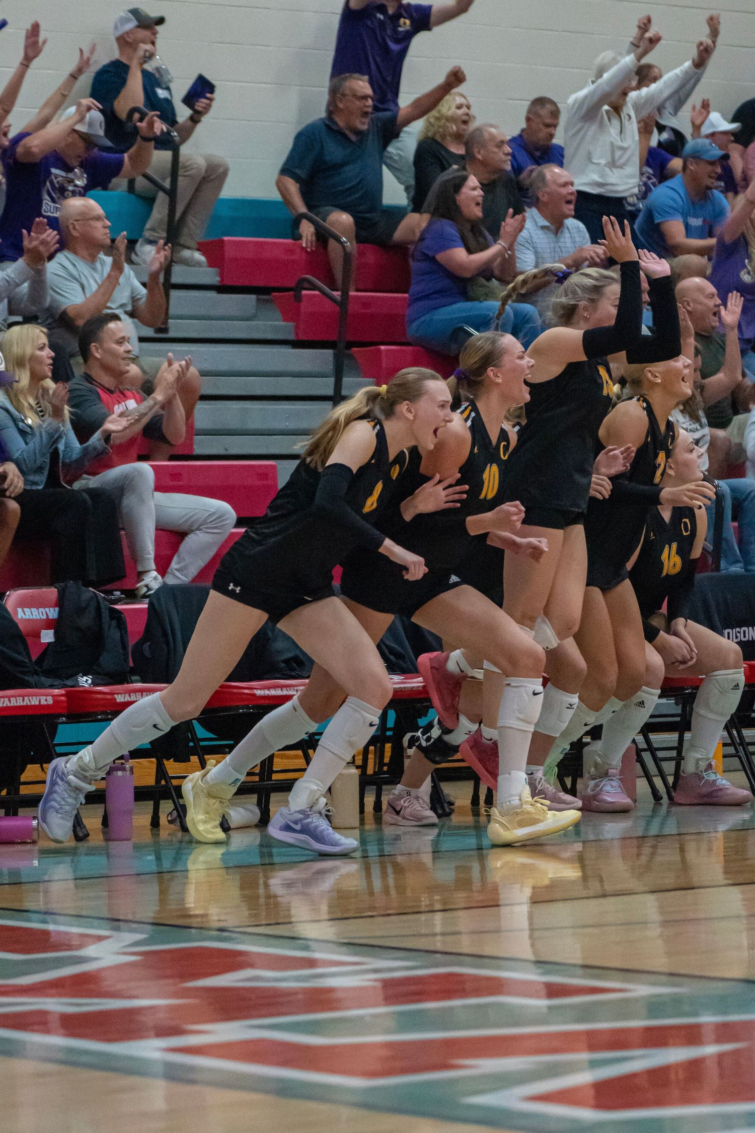 Team bench players leap in celebration during an exciting volleyball play.