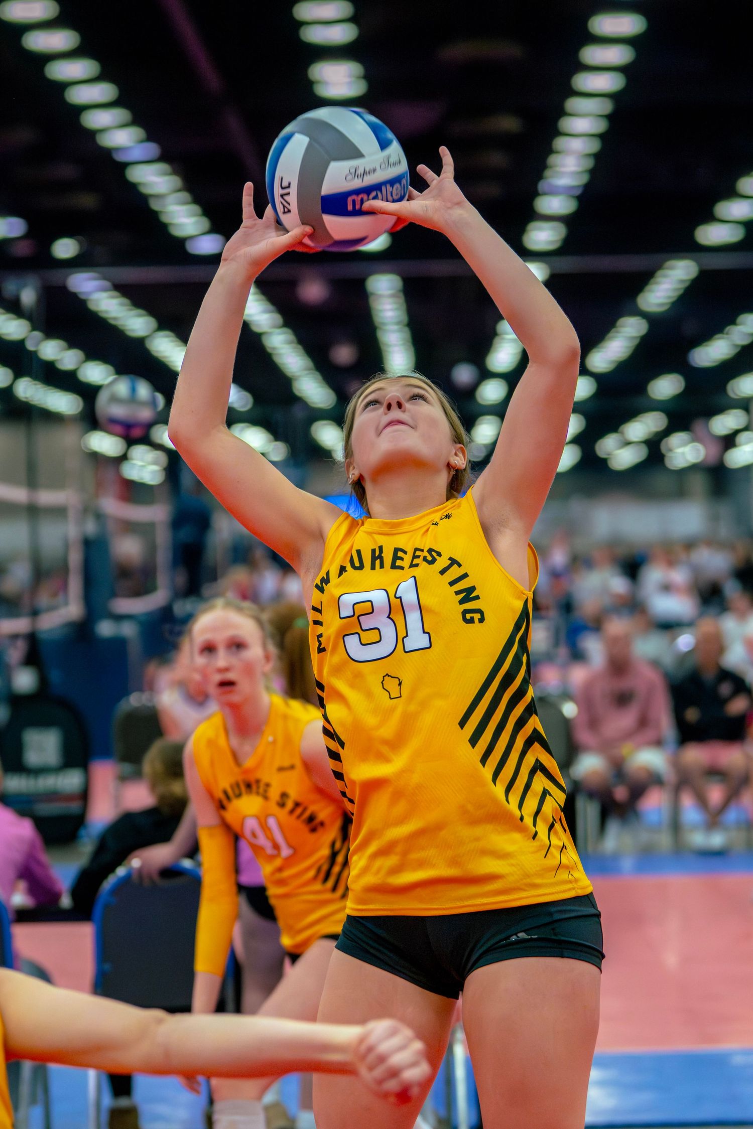 Female volleyball player #31 in yellow jersey sets the ball during an indoor tournament match.