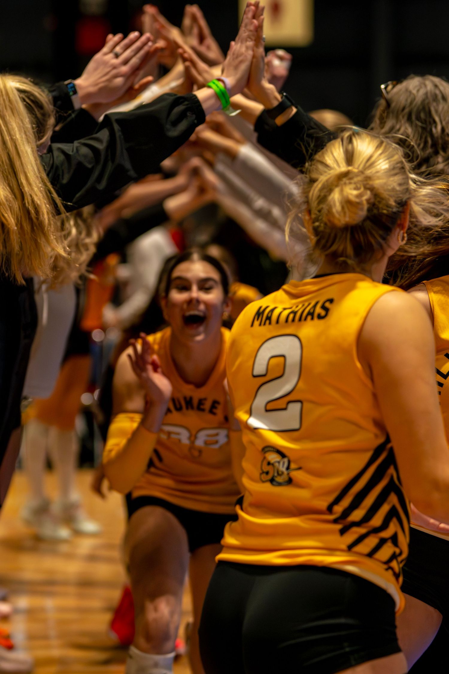 Volleyball players in gold uniforms high-five teammates during pre-game introductions, with player #2 Mathias leading the lineup.