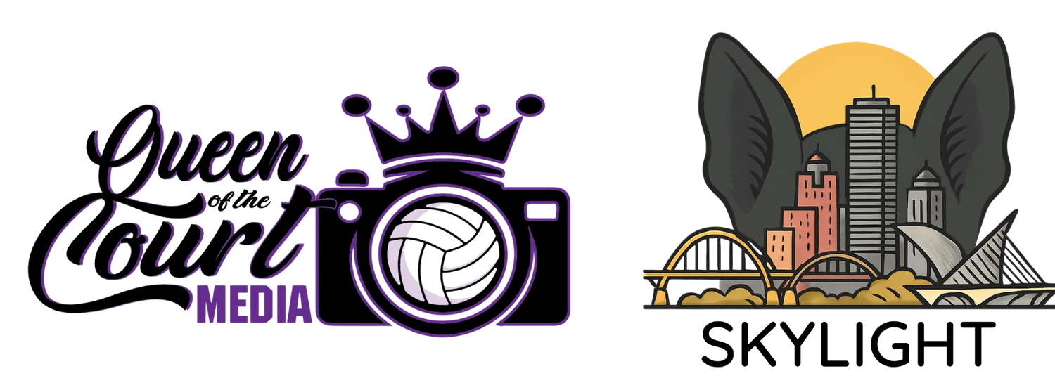 A collection of business logos including a crown and volleyball designs.
